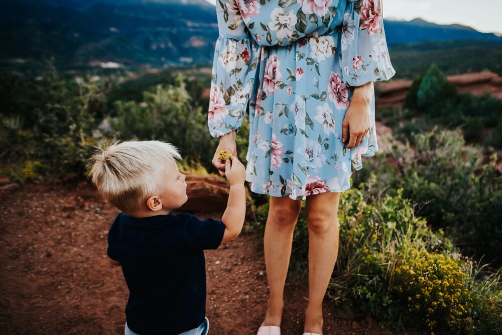 Bethany+Harrell+Family+Session+Colorado+Springs+Colorado+Sunset+Garden+of+the+Gods+Mountain+View+Mother+Father+Daughter+Son+Wild+Prairie+Photography-16-2020.jpeg
