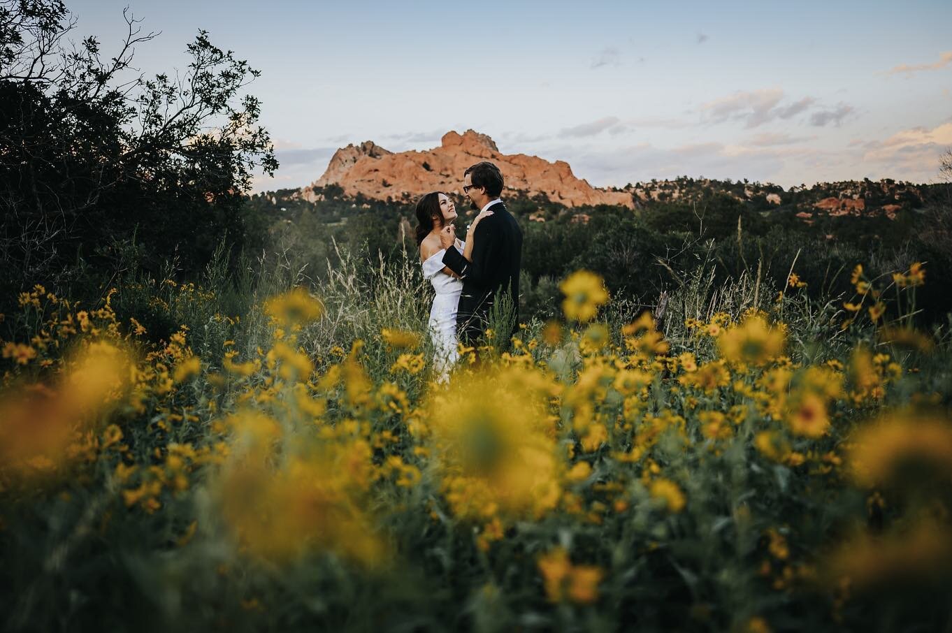 When the flowers are poppin, they&rsquo;re poppin. Congratulations to these two lovelies. You deserve so much love, friends!

#coloradoelopement #coloradoelopementphotographer