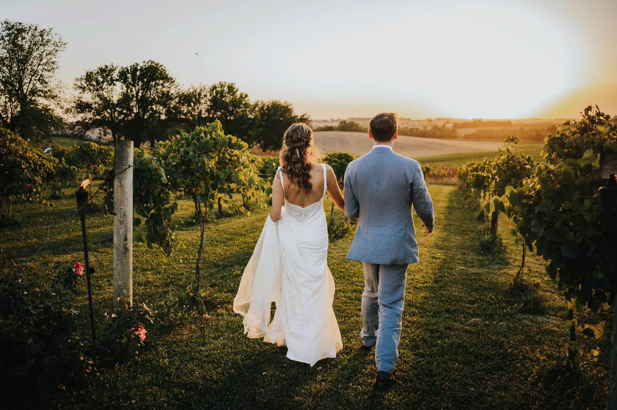Bride and groom walking hand in hand through a vineyard at golden hour at Walker Homestead in Iowa City.