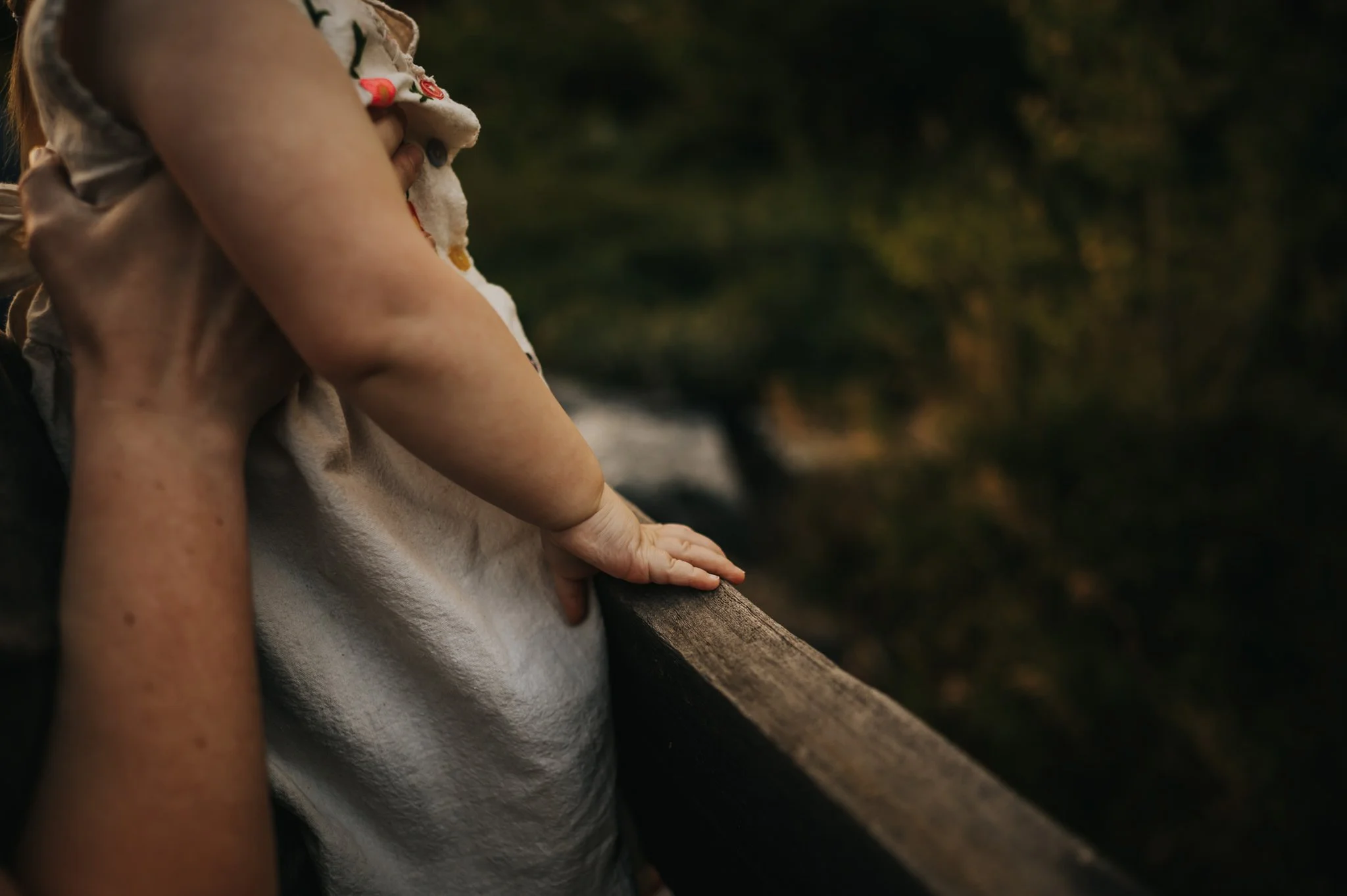 Brittany Hedegus First Birthday Family Session  Colorado Springs Photographer Sunset Denver City Park Wild Prairie Photography_9_2023.jpg