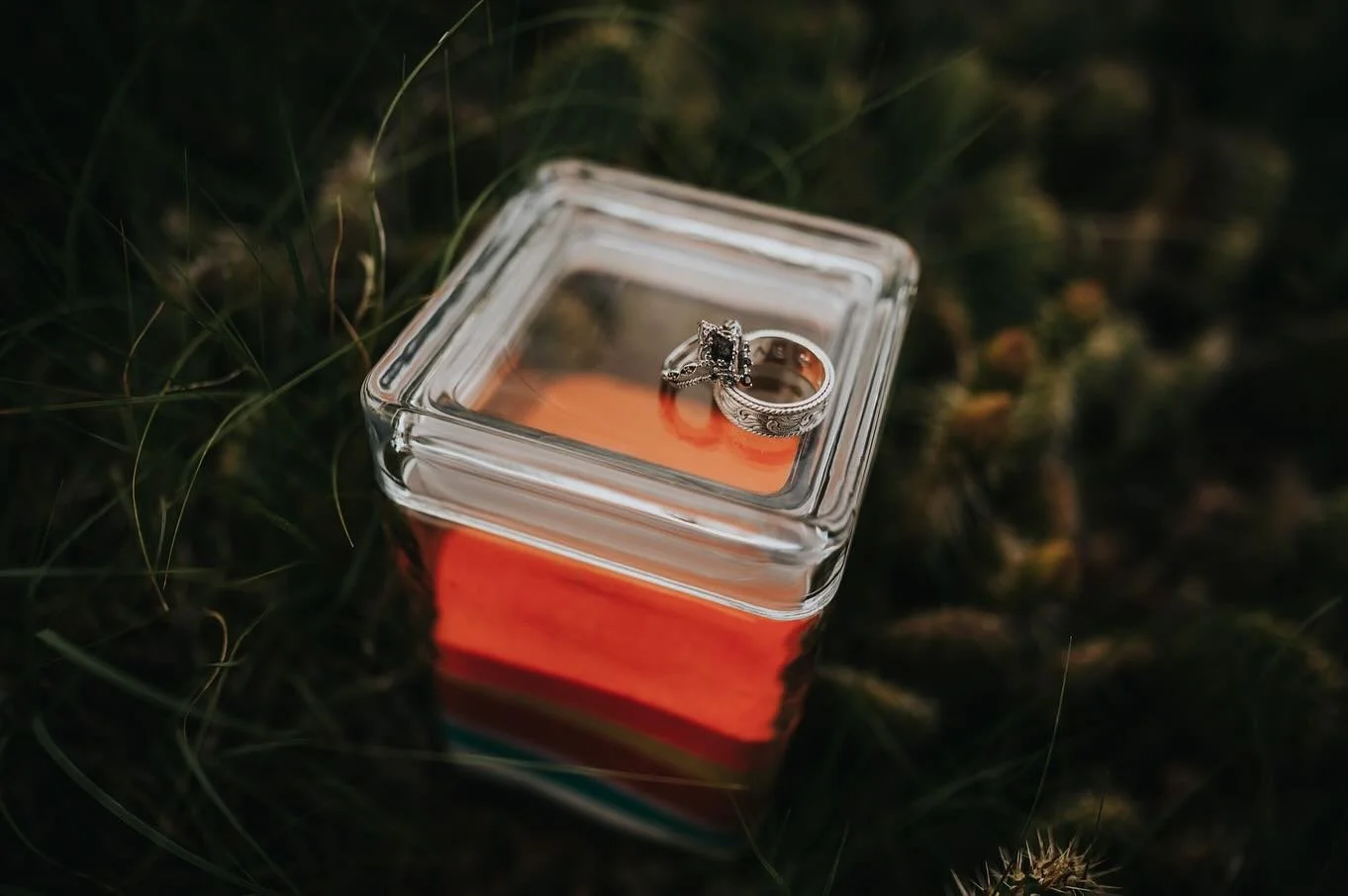Some elopements feel like fireworks, others feel like warm earth and open hands. This one was beautifully both. Autumn and Skylar brought their five daughters, their full hearts, and their trust in each other to Garden of the Gods for a family-center