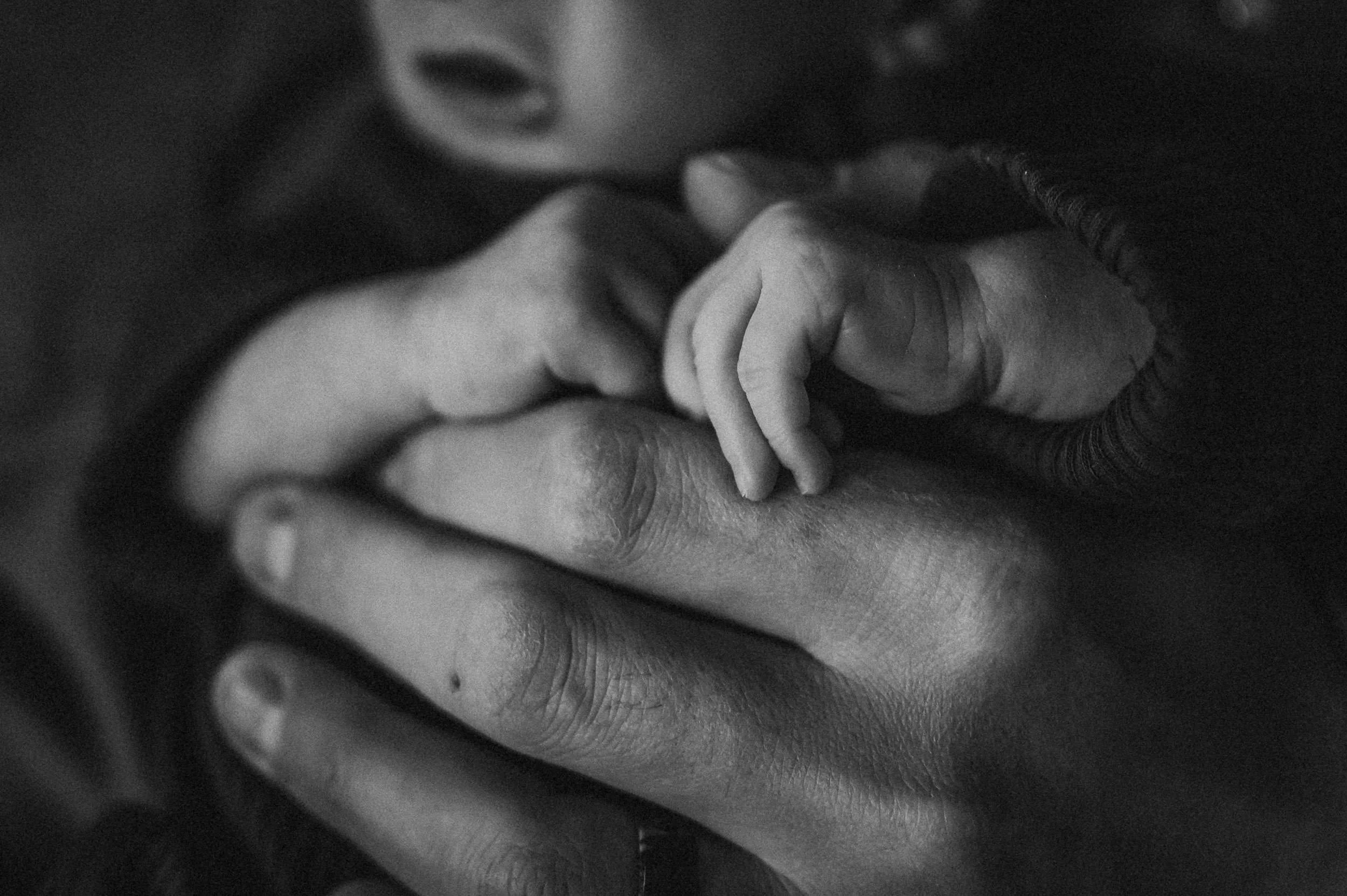 Black and white close-up of a newborn’s hands resting in a parent’s palm, symbolizing the tenderness of early life.