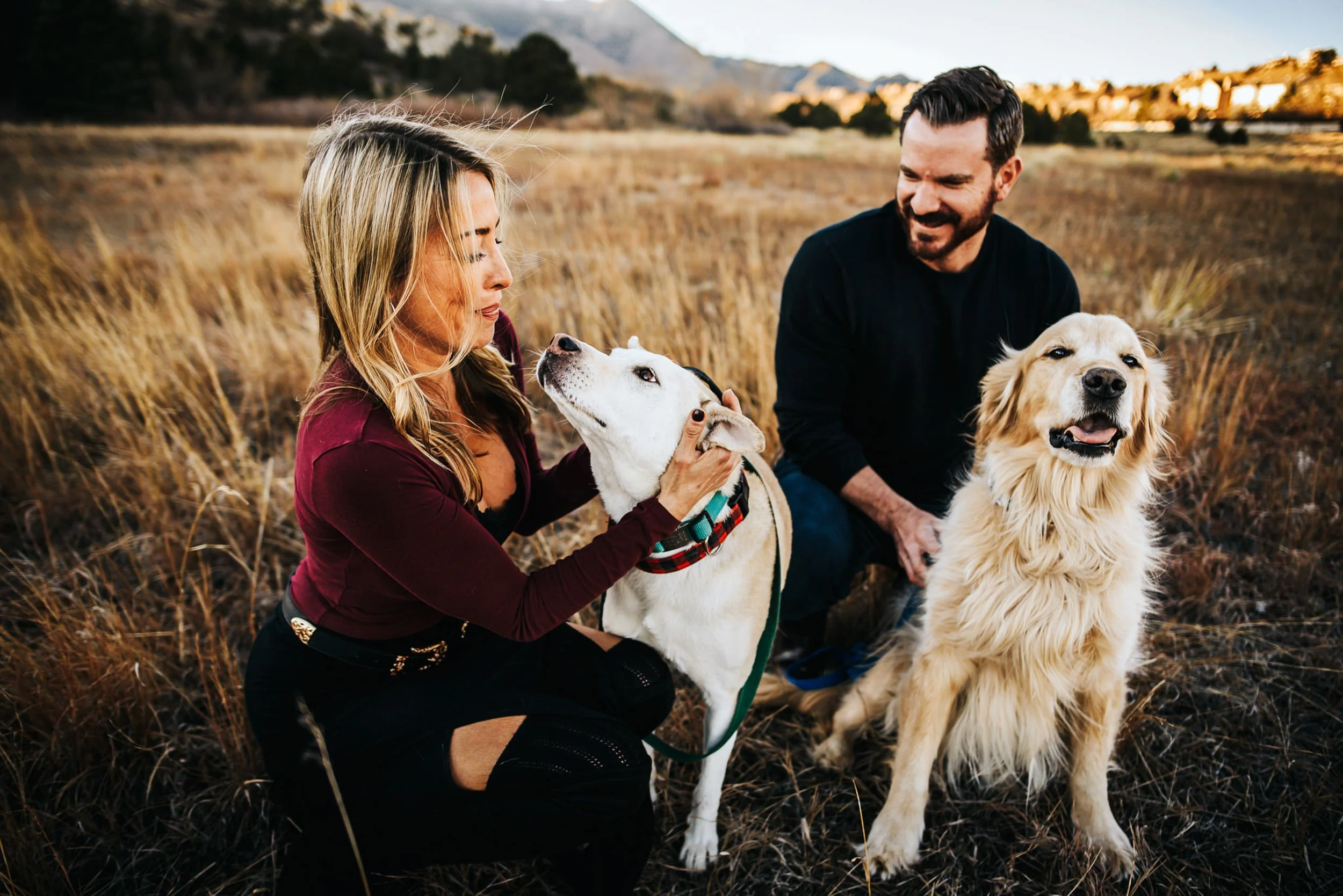 A couple sits in a golden Colorado field with their golden retriever between them, all four happy.