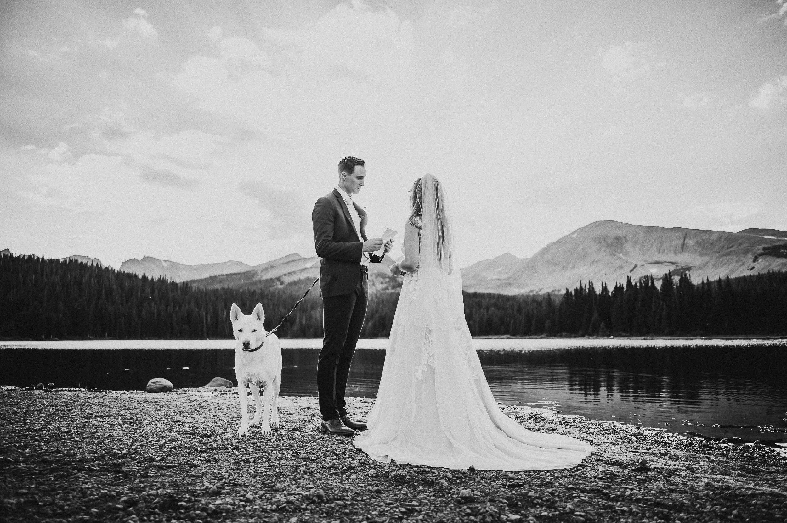 A bride and groom stand at the edge of a mountain lake with their white dog, black and white portrait.