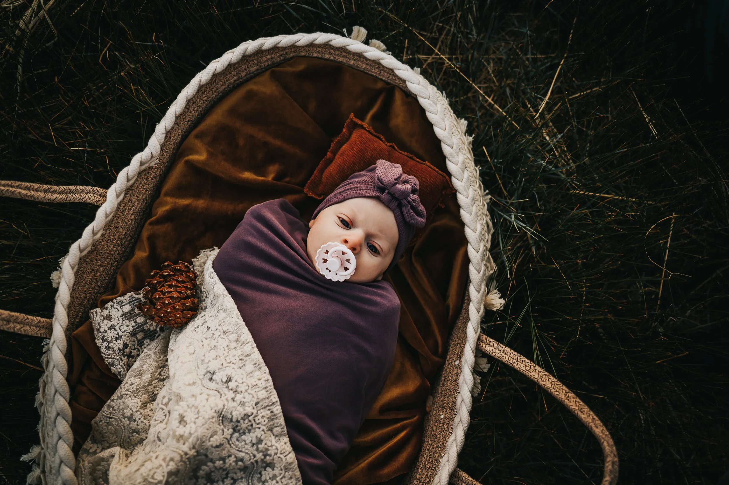 Baby Marina photographed during newborn session at Ute Valley Park with golden light.