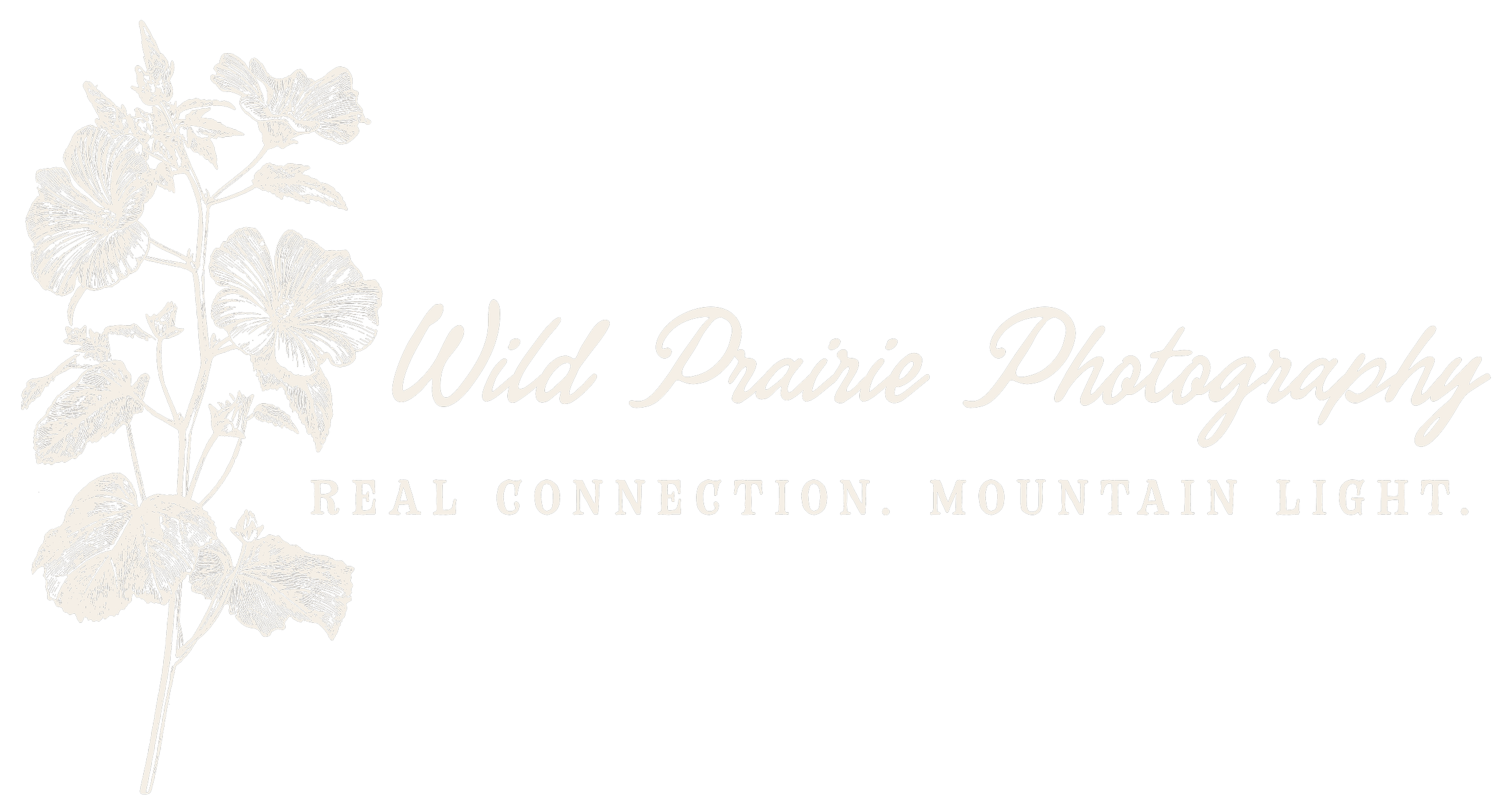 White logo with a white flower for Wild Prairie Photography that says real connection mountain light underneath the business name.