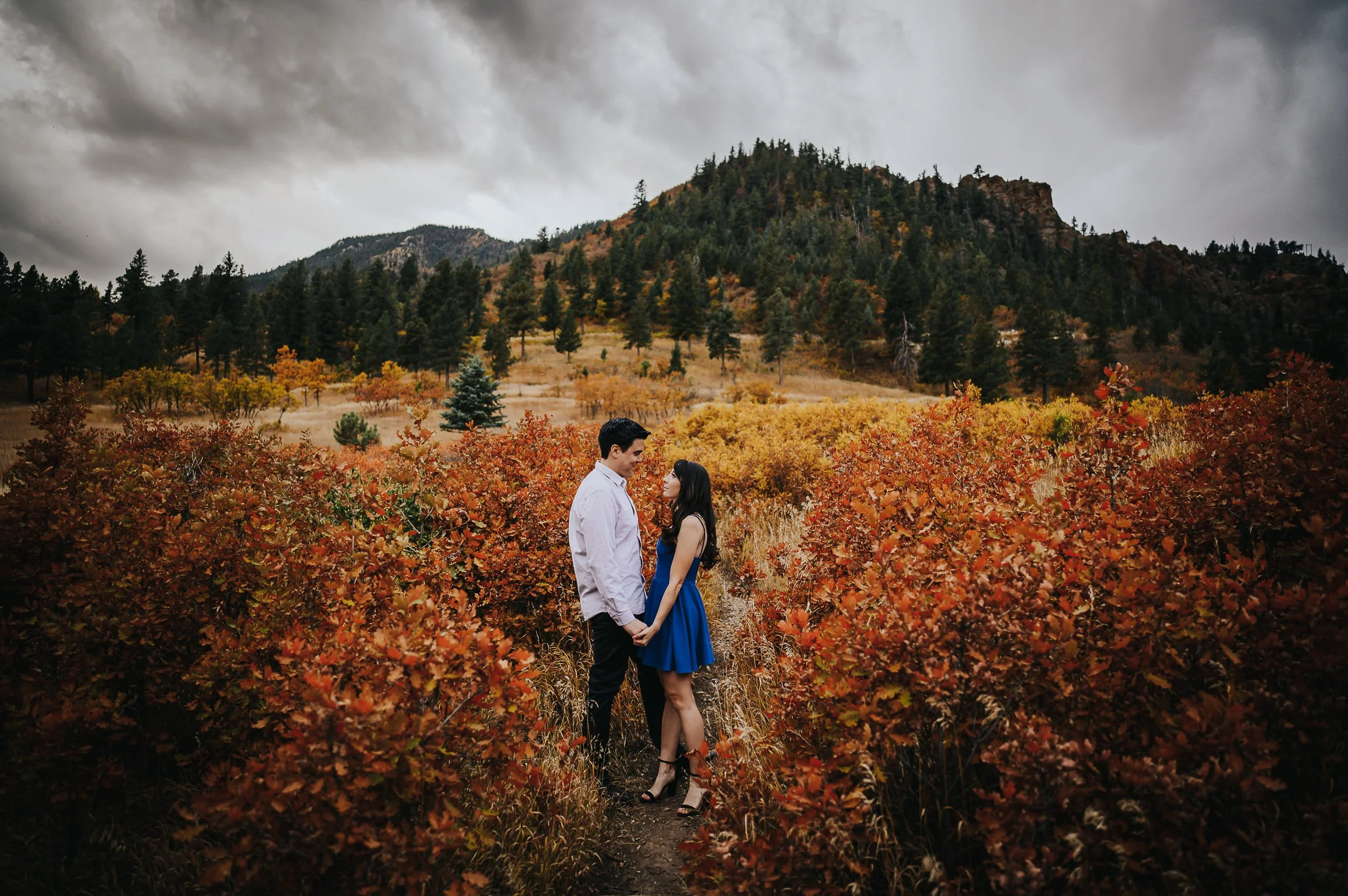 A couple embraces in a Colorado field surrounded by brilliant fall foliage, mountains behind them in Cheyenne Canyon.