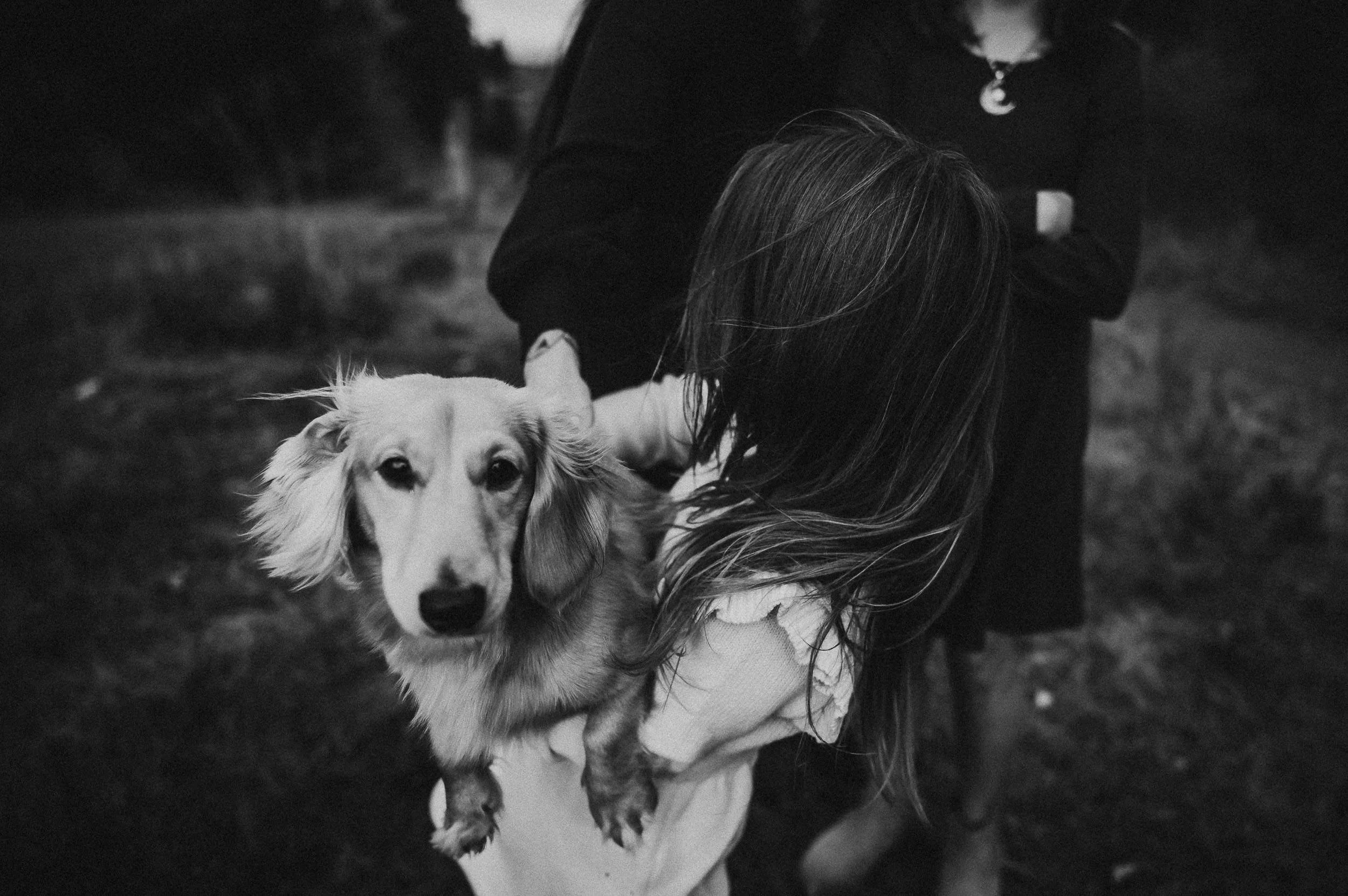 A girl holds a daschund close, both looking at camera, black and white portrait.