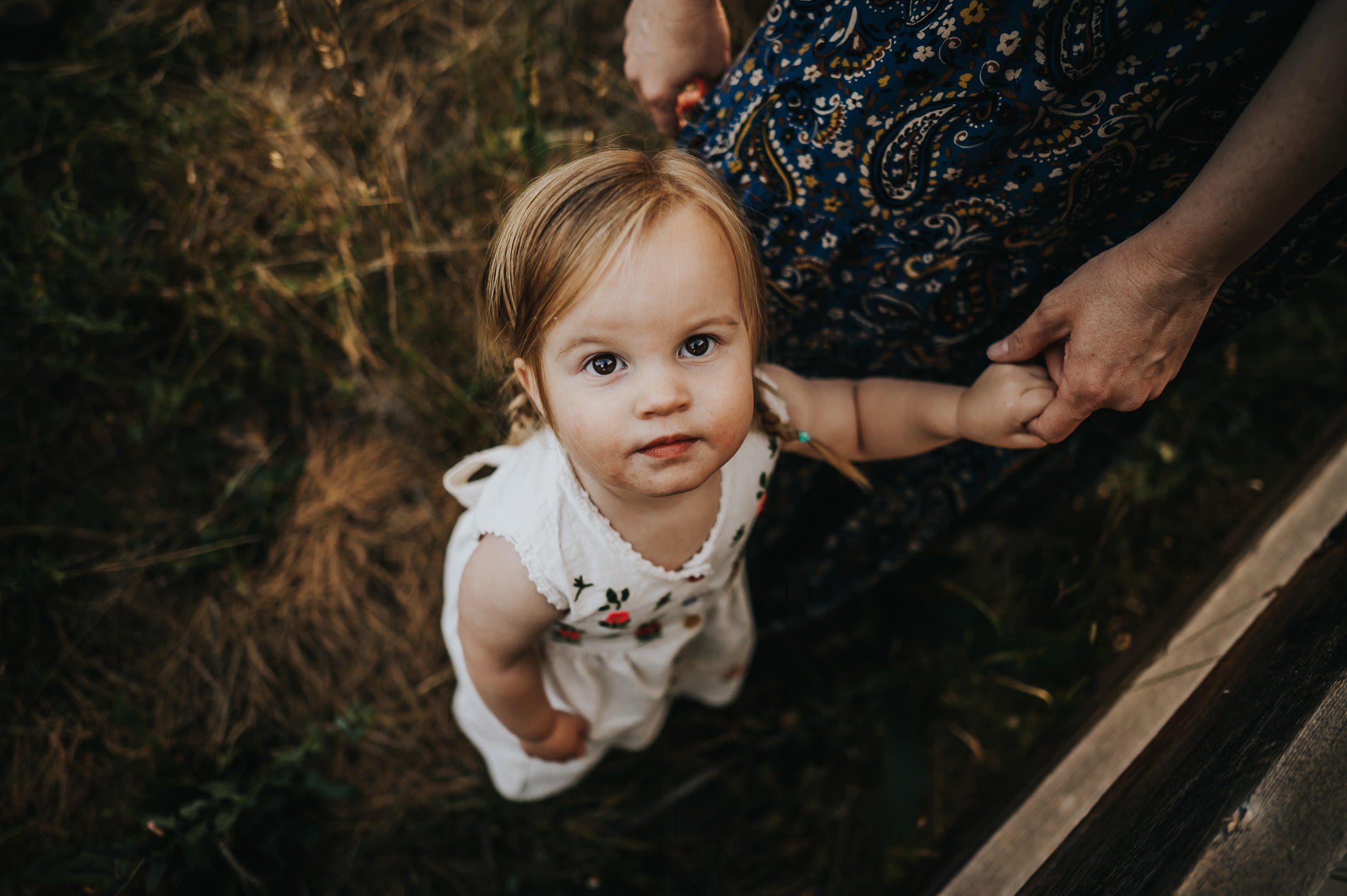 Family surrounded by tall golden grass during a sunset family session in Denver.