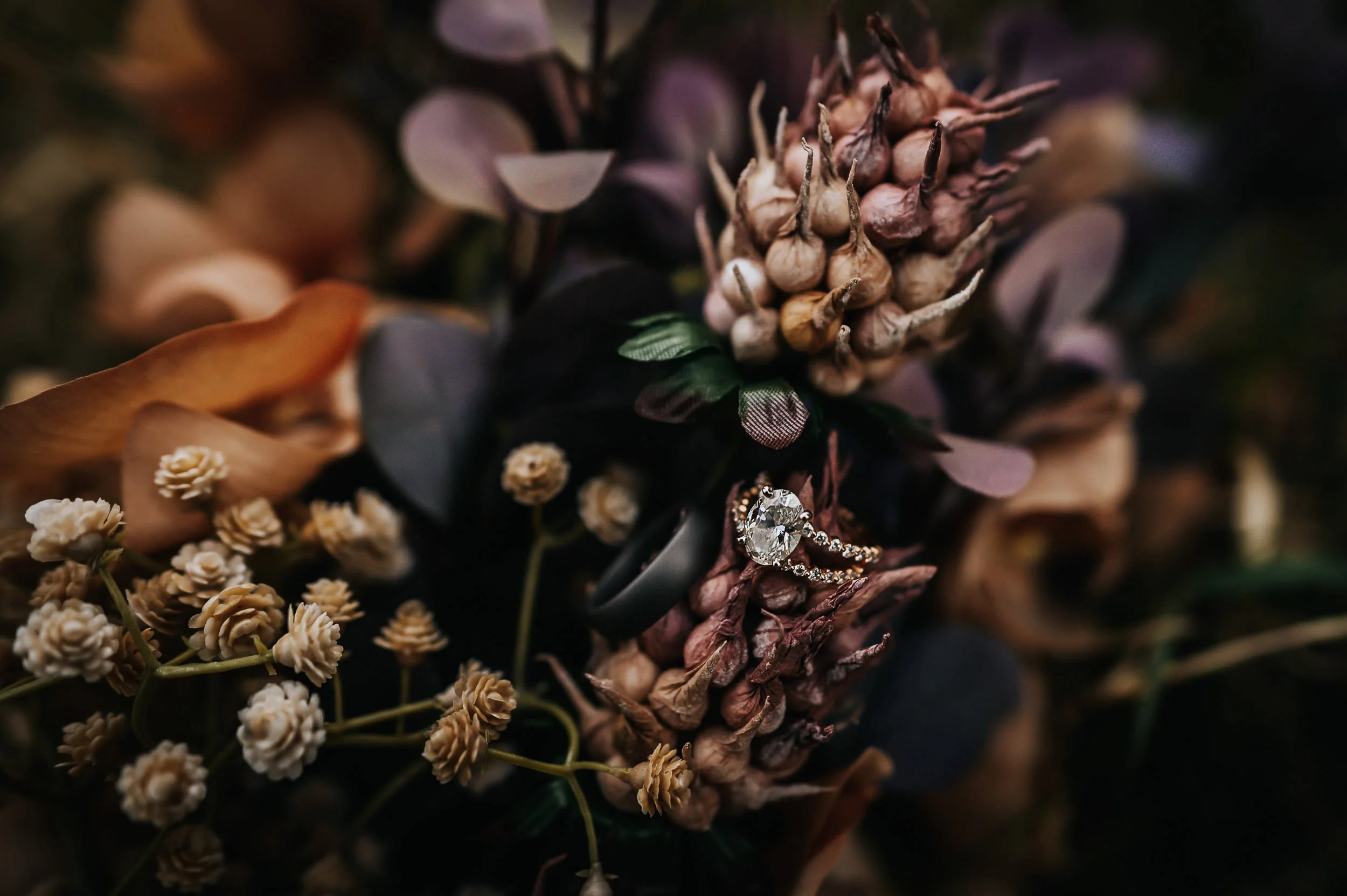 A moody closeup flatlay of deep purple and mauve dried florals arranged together.