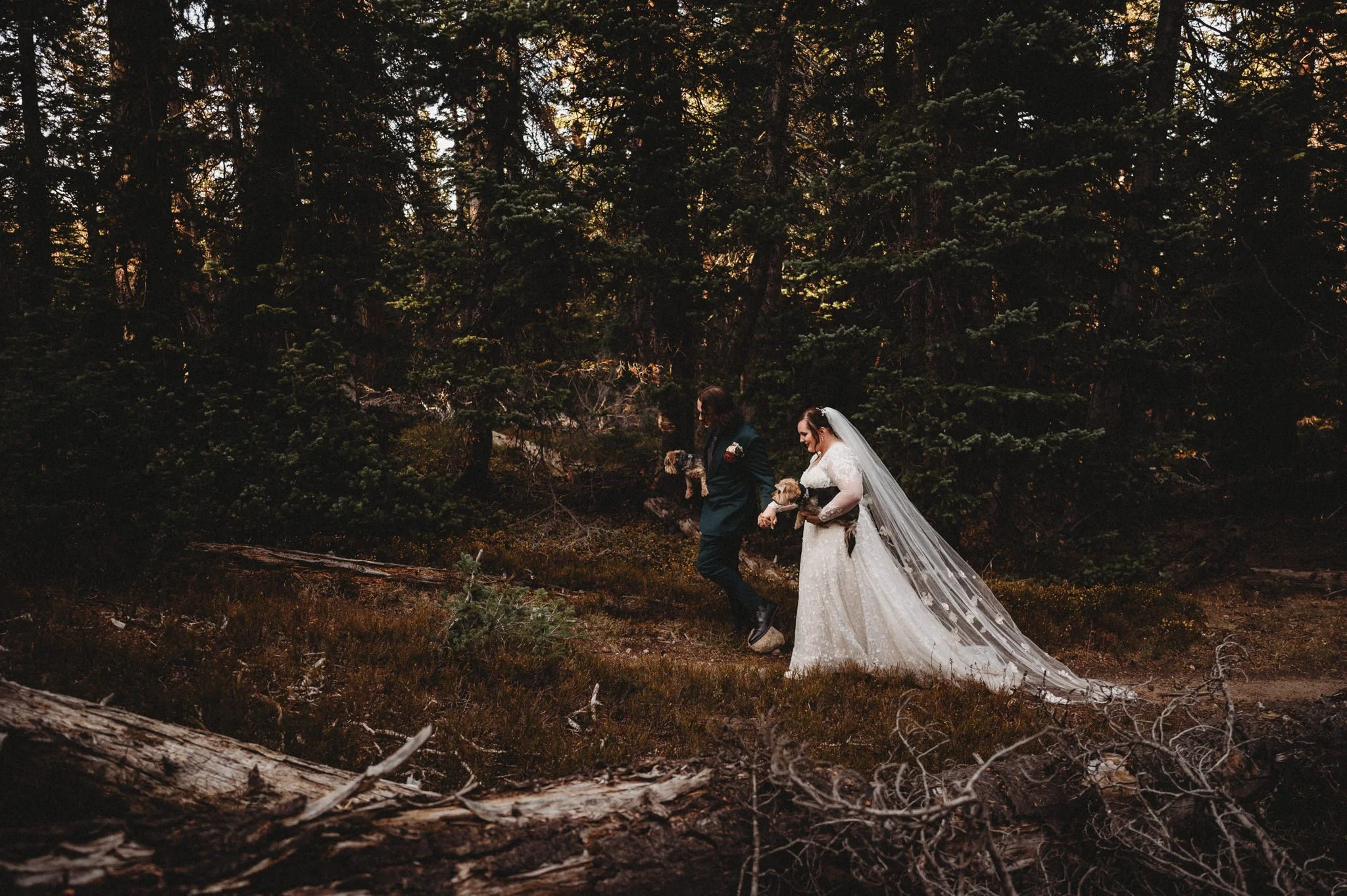 Groom dipping bride in a lace veil among tall trees in a dark forested setting.