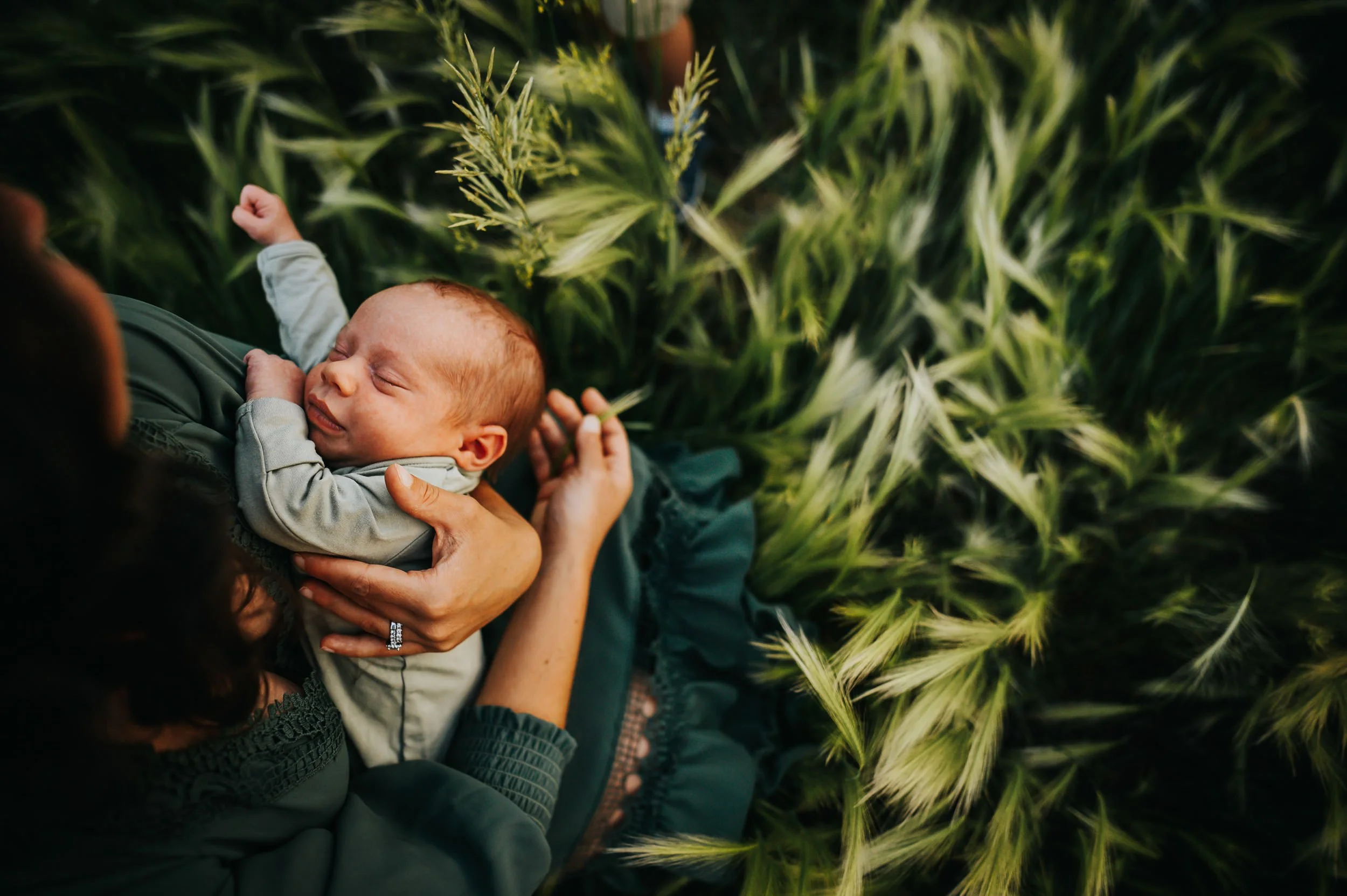 gree-grass-tall-newborn-sleeping.jpg