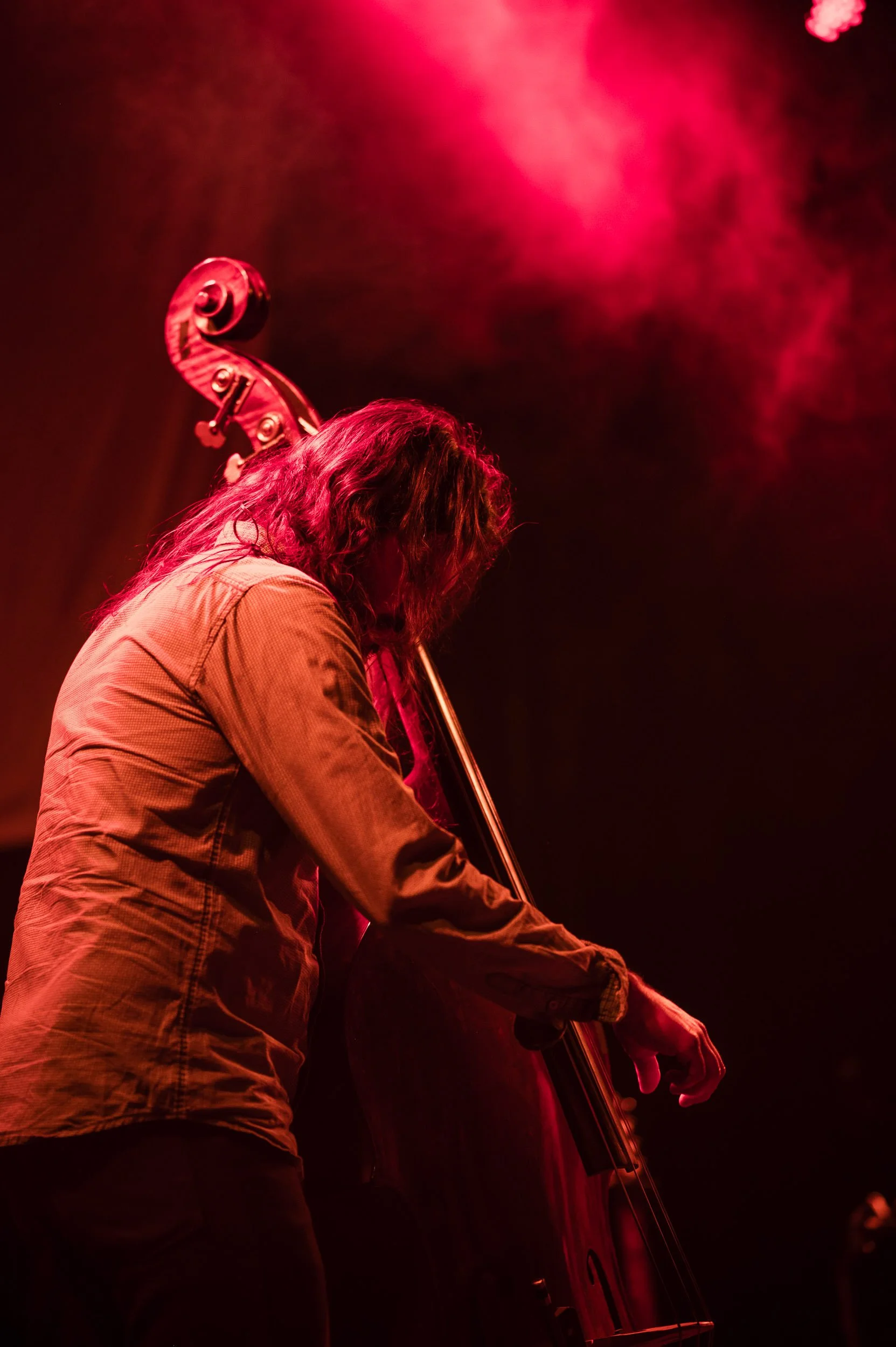 Close-up of musician immersed in live music during Colorado concert captured by Wild Prairie Photography.