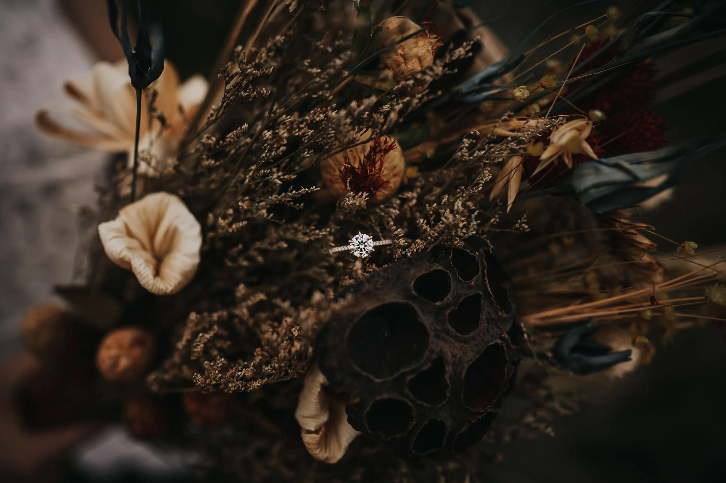 A flatlay of dried florals, a ring, and botanical details arranged on a dark surface.