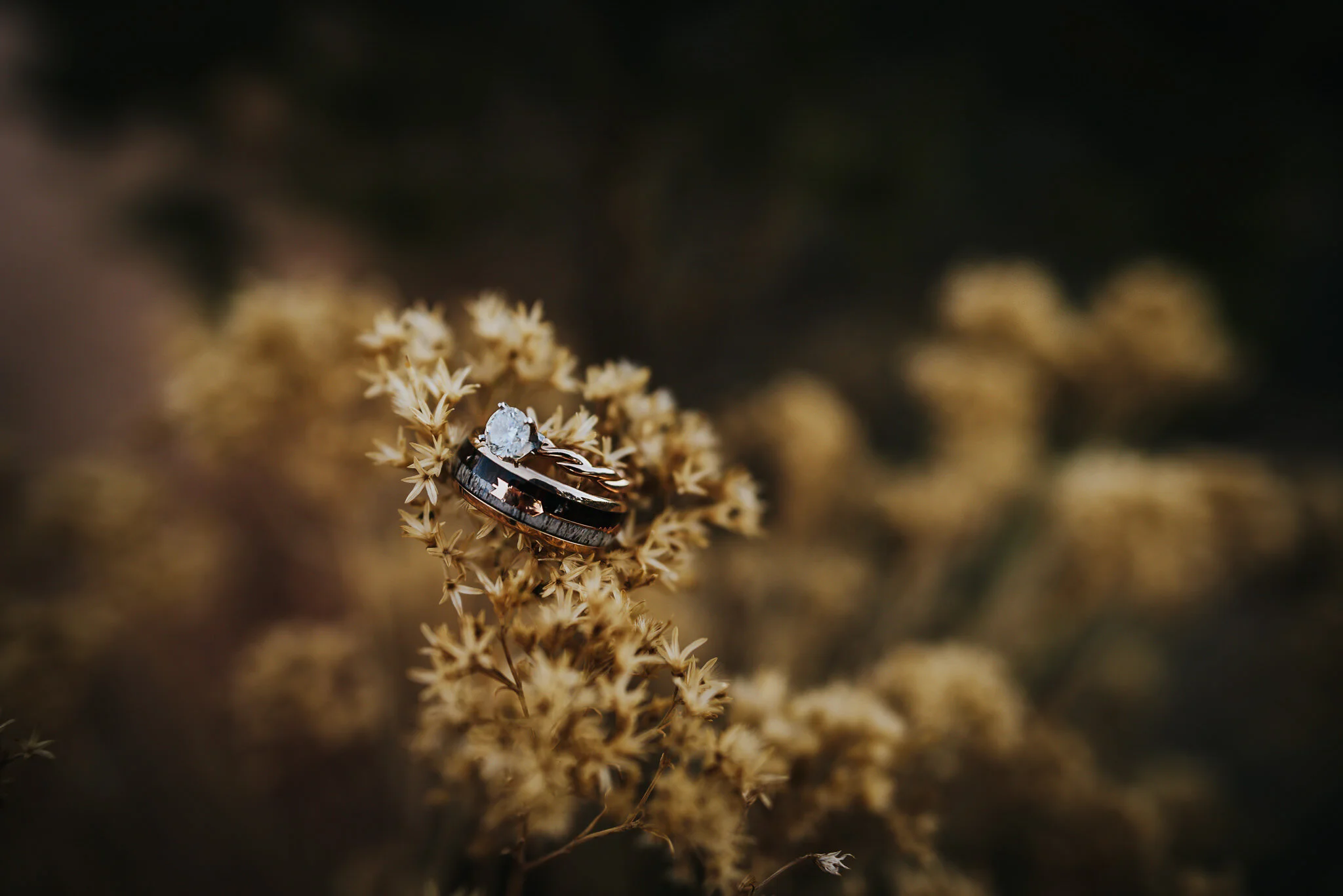 Wedding rings detail with Garden of the Gods backdrop.
