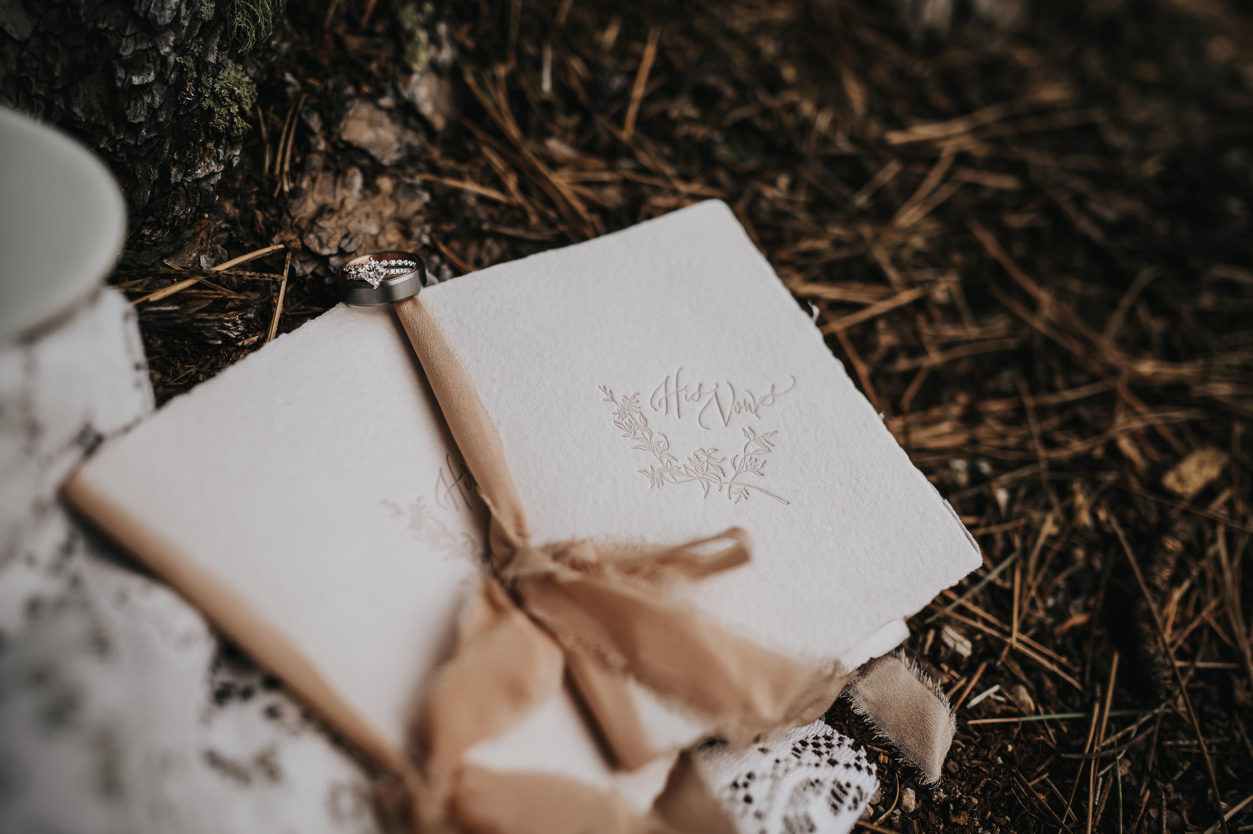 Wedding ceremony officiated at Younger Ranch in Colorado Springs.