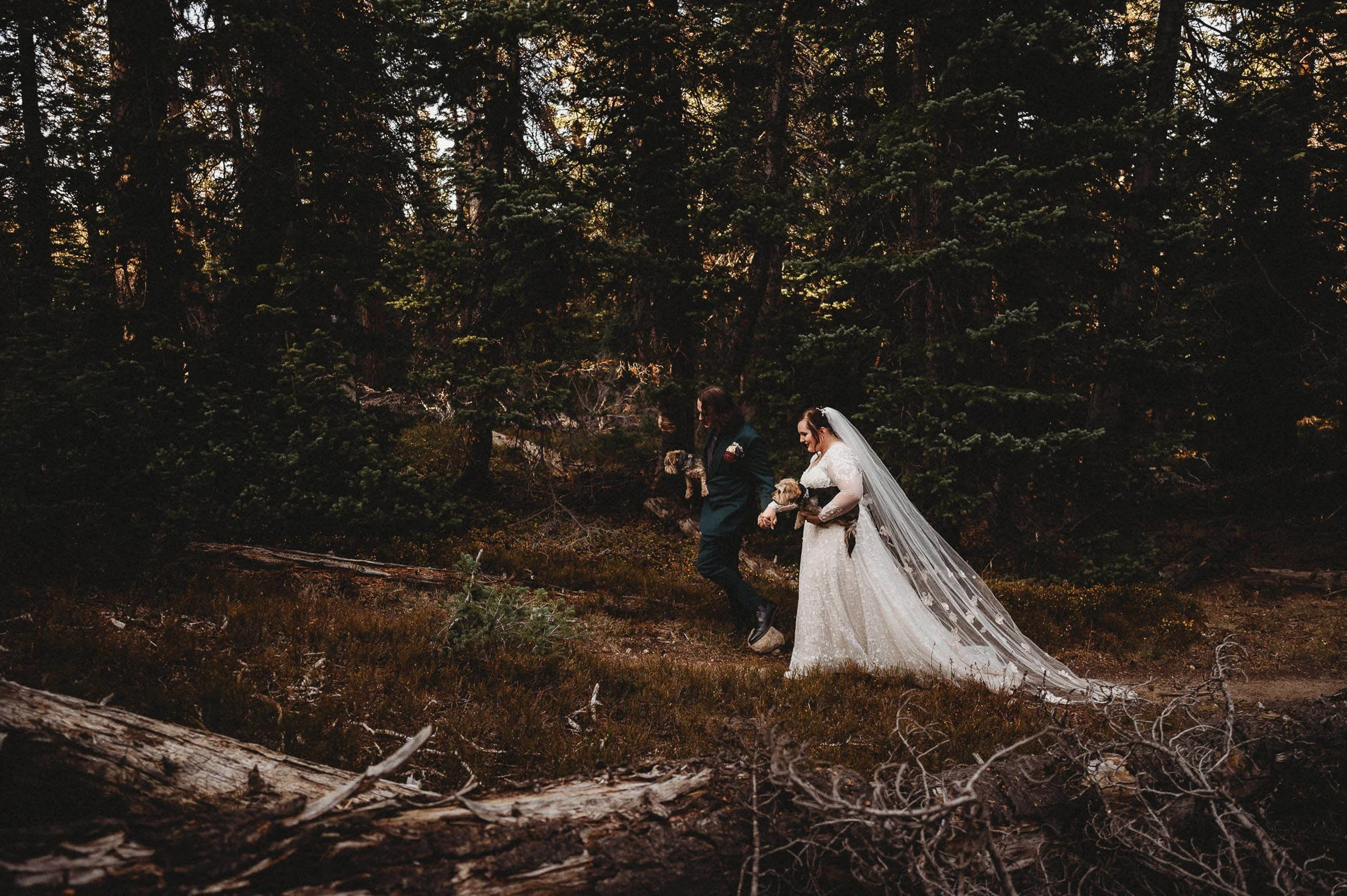 A bride in a long cathedral veil stands alone in a Colorado pine forest, soft light filtering through the trees.