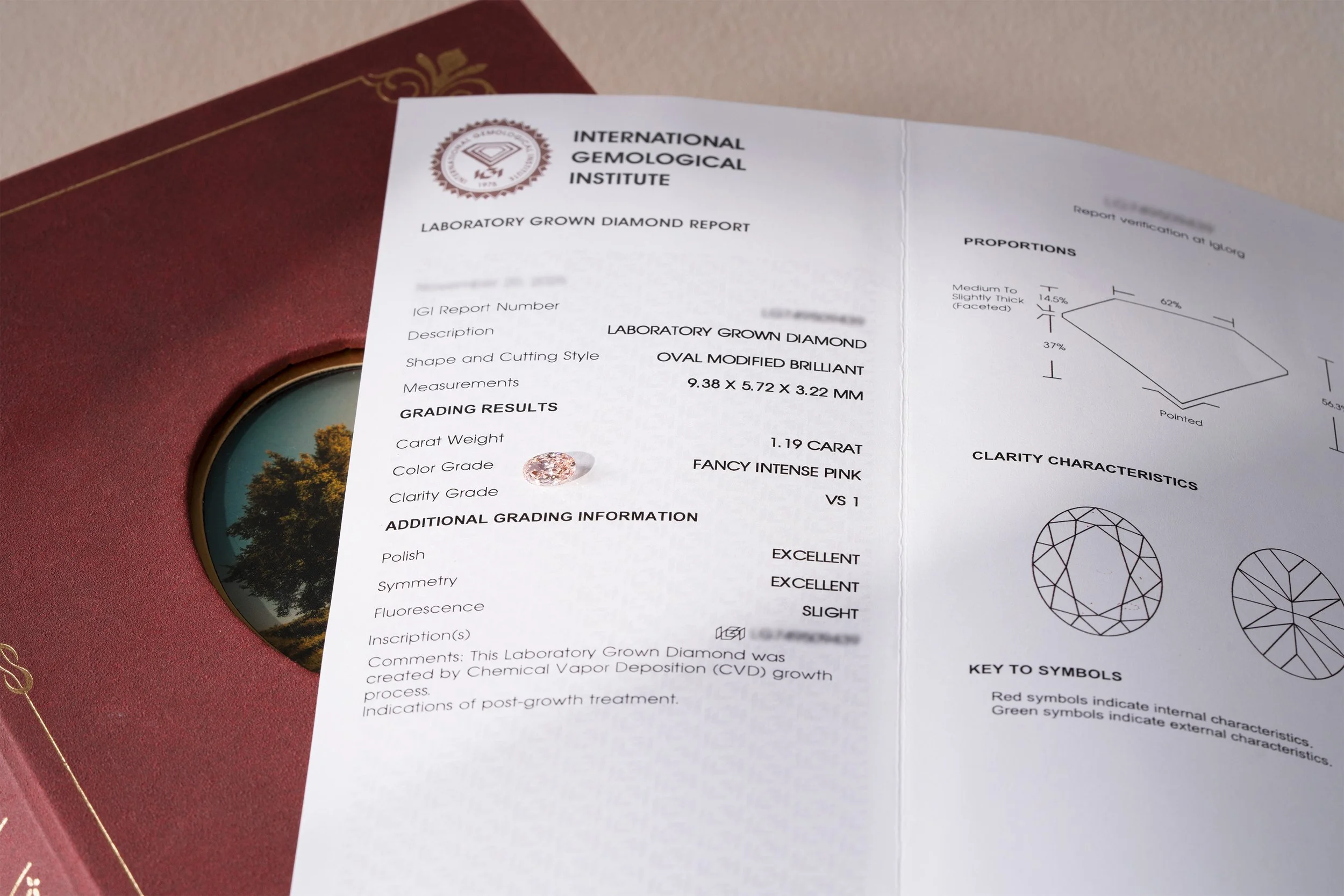diamond and certificate 01.jpg