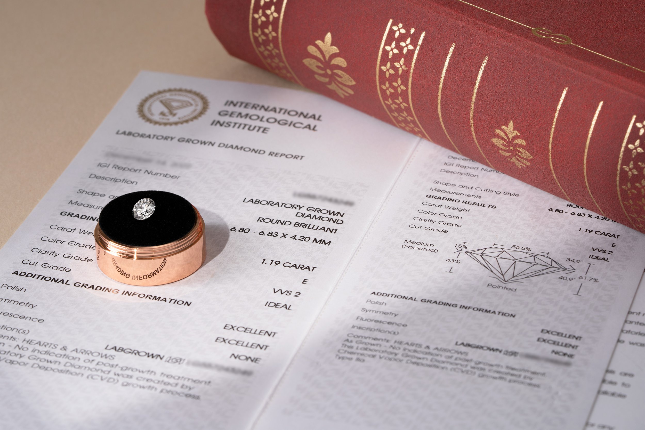 diamond and certificate 03.jpg
