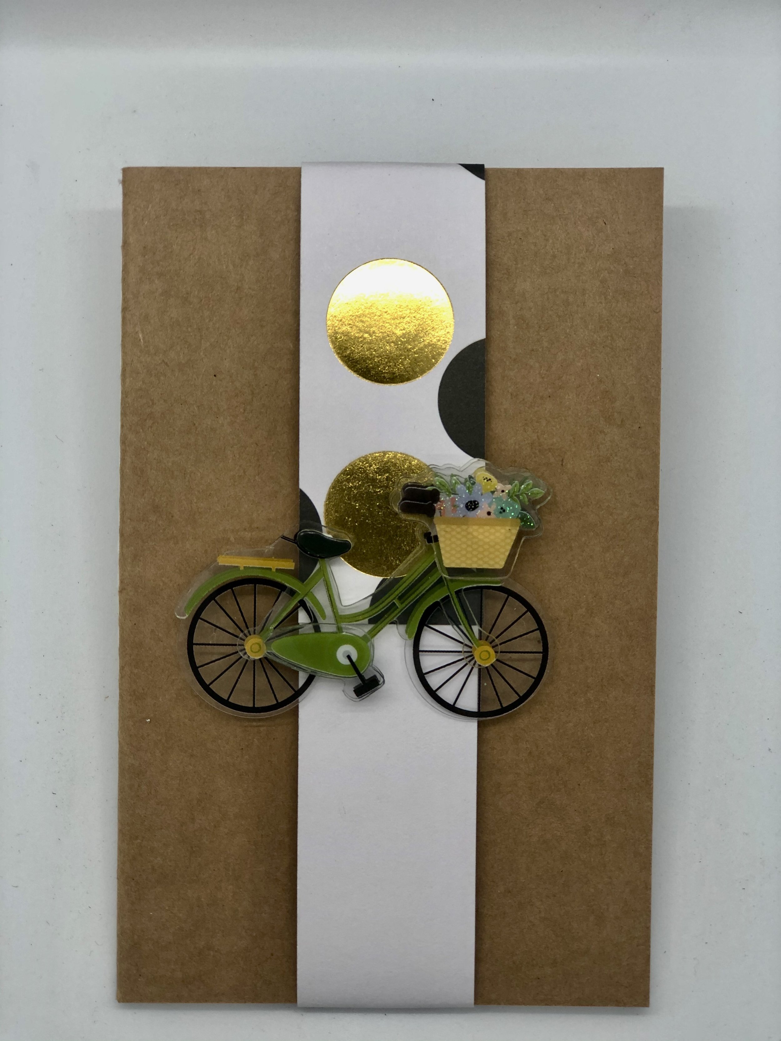 BR Green Bike.jpeg