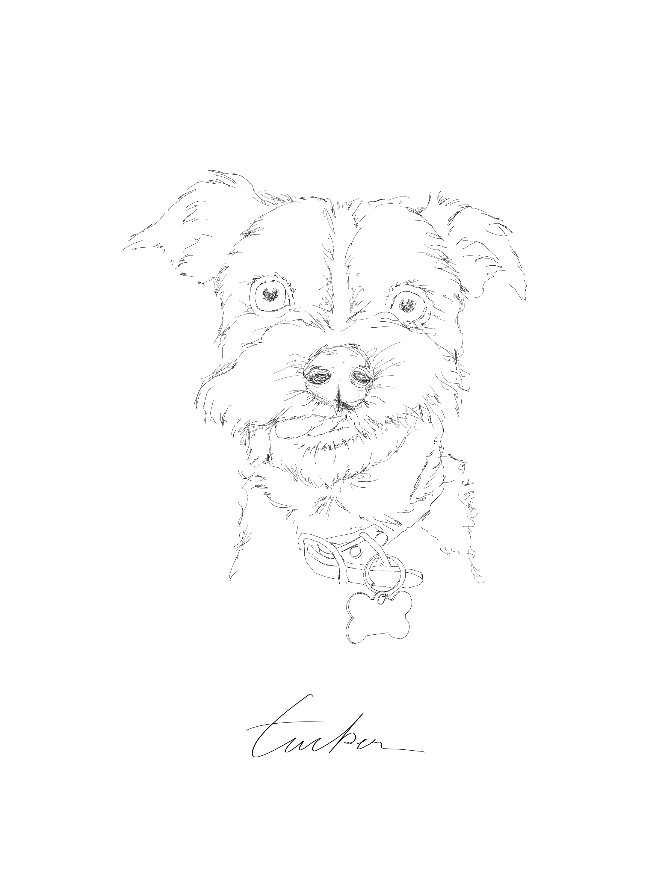 Untitled_Artwork 25.png