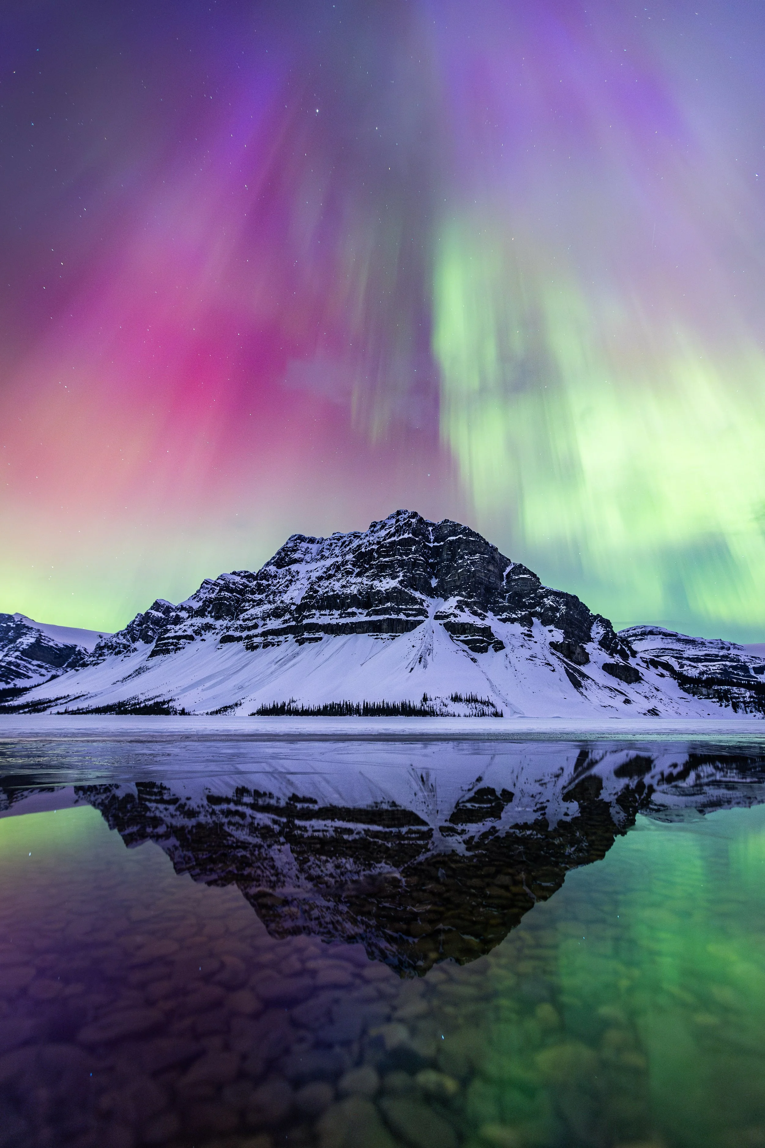 Bow Lake Aurora--23.jpg