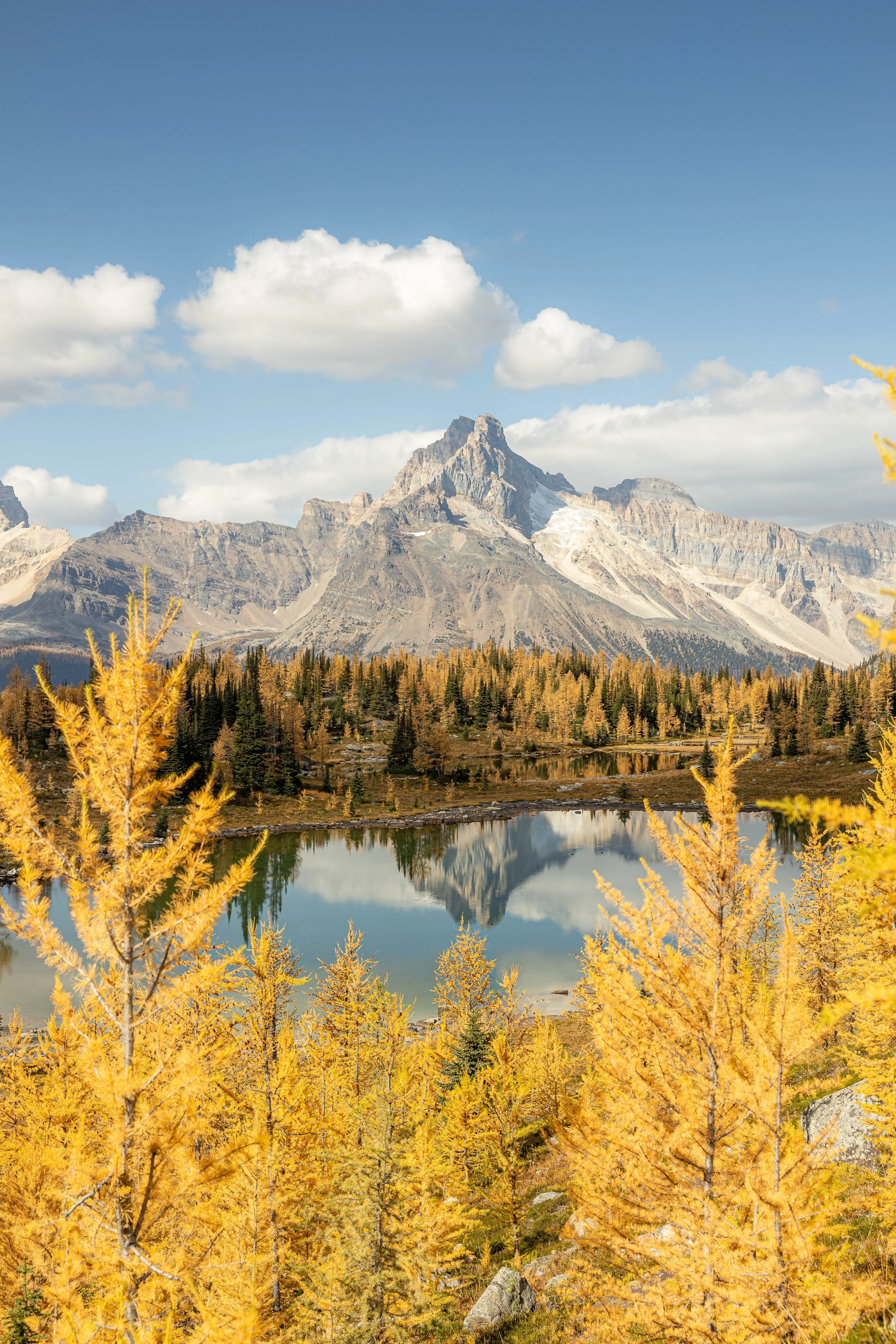 Lake Ohara Fall-1779-13.jpg