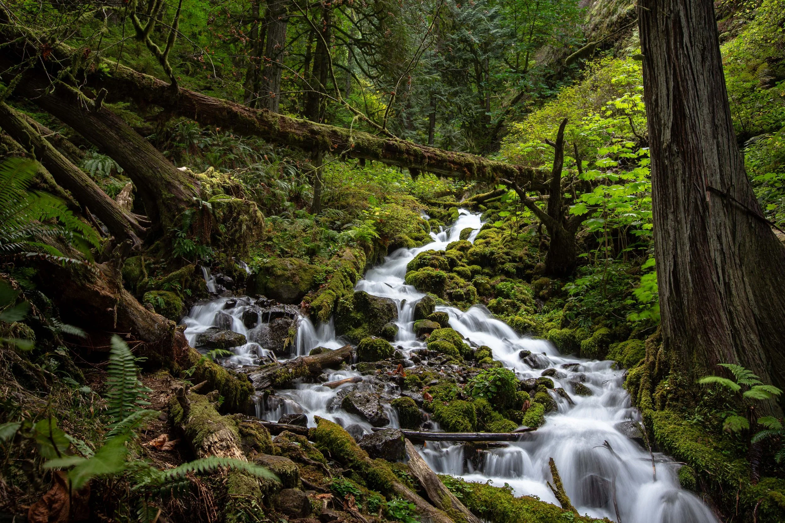 Colombia gorge cascades-1-1.jpg