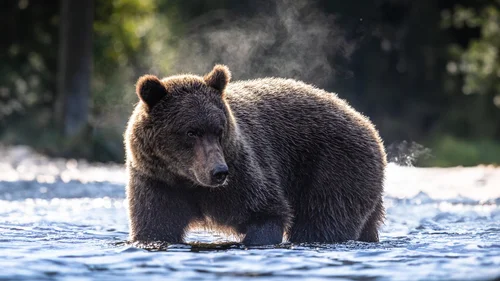 Mastering Focus: How to Capture Perfectly Sharp Photos Every Time ...