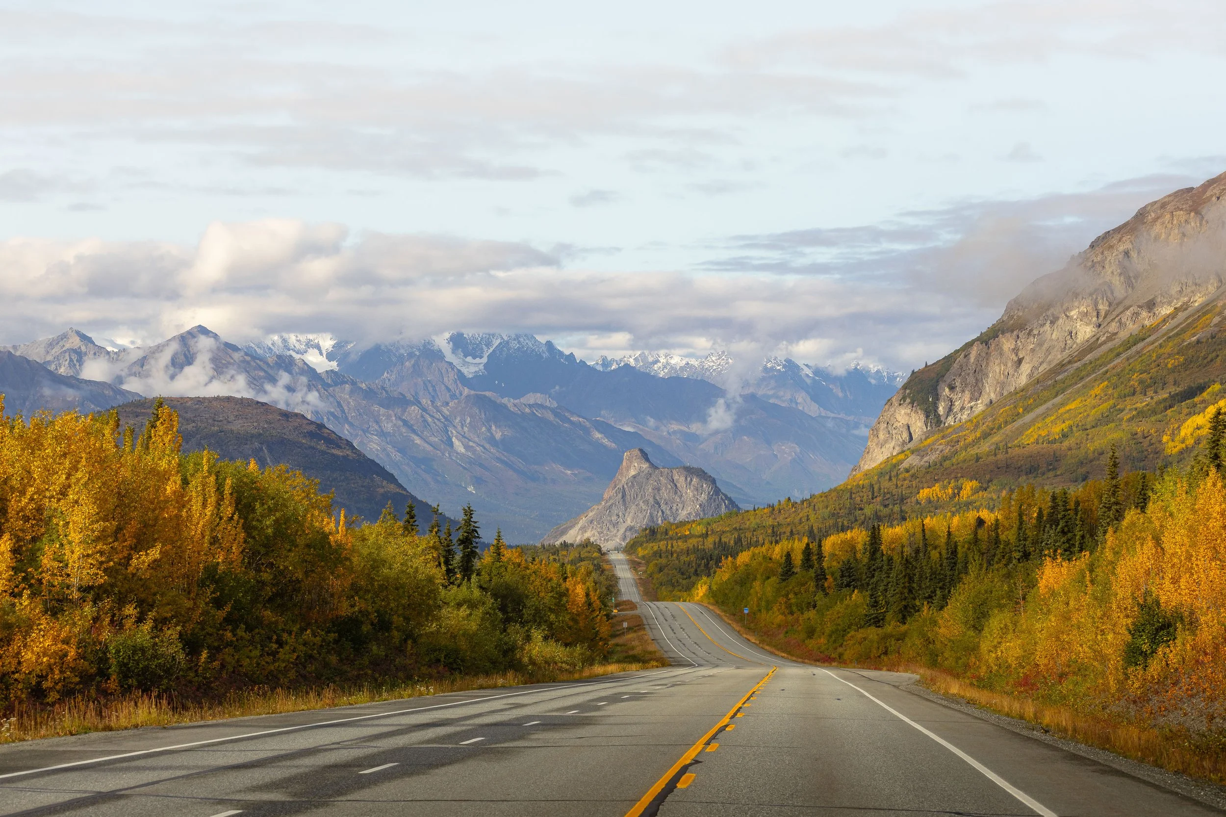 Yukon Gold-8202-27.jpg