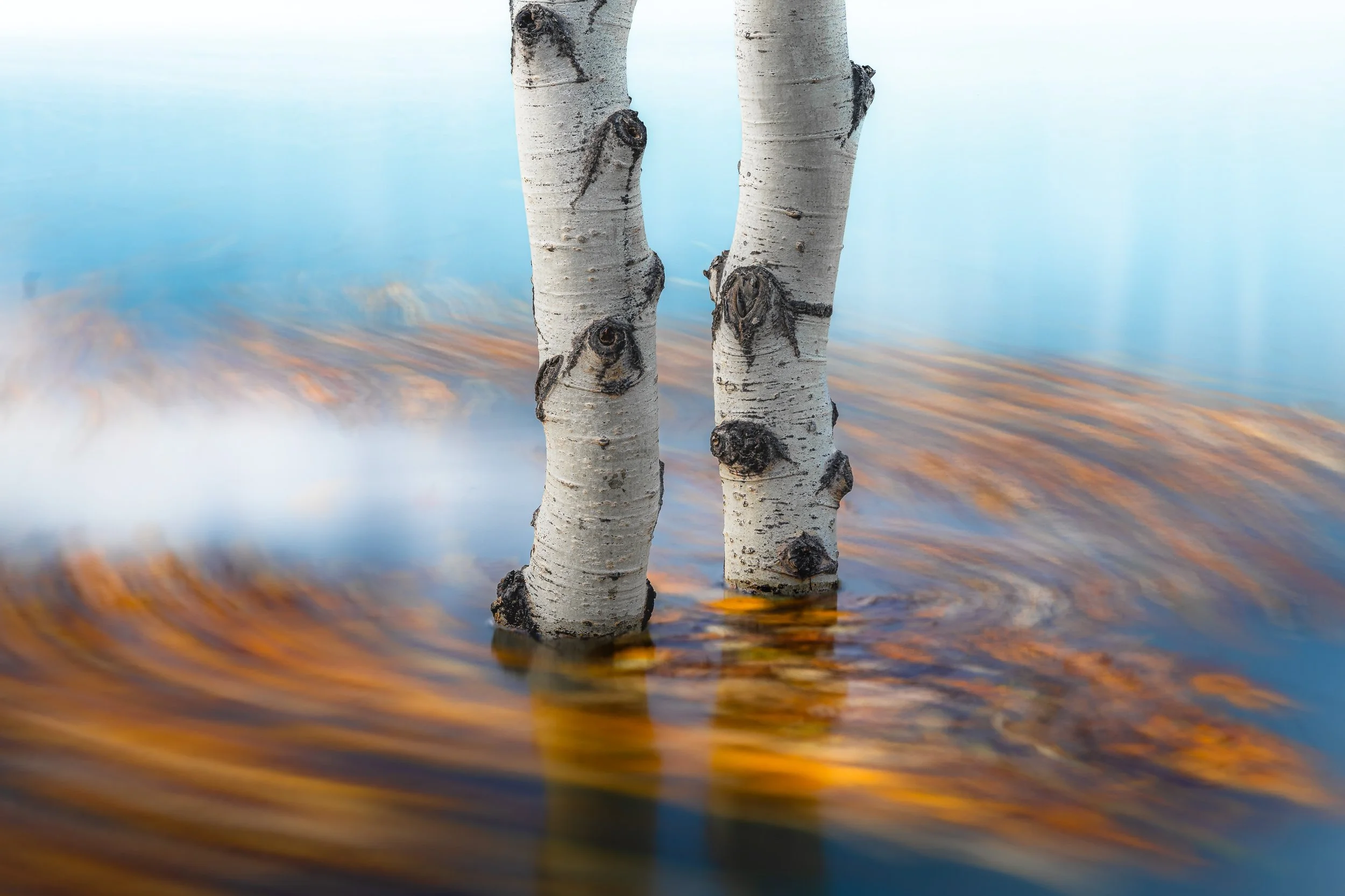 Aspens Underwater-1-32.jpg