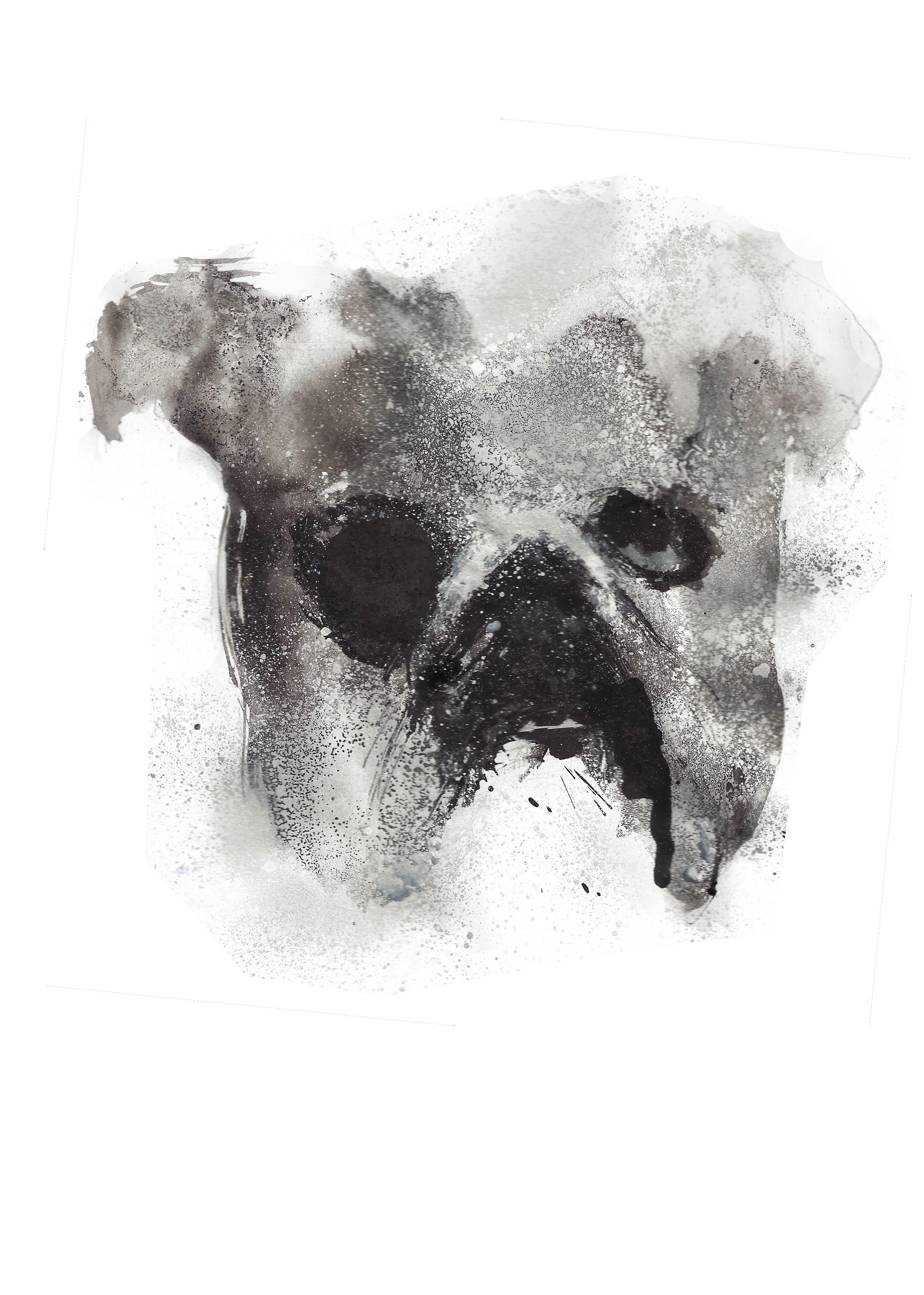 hund.jpg