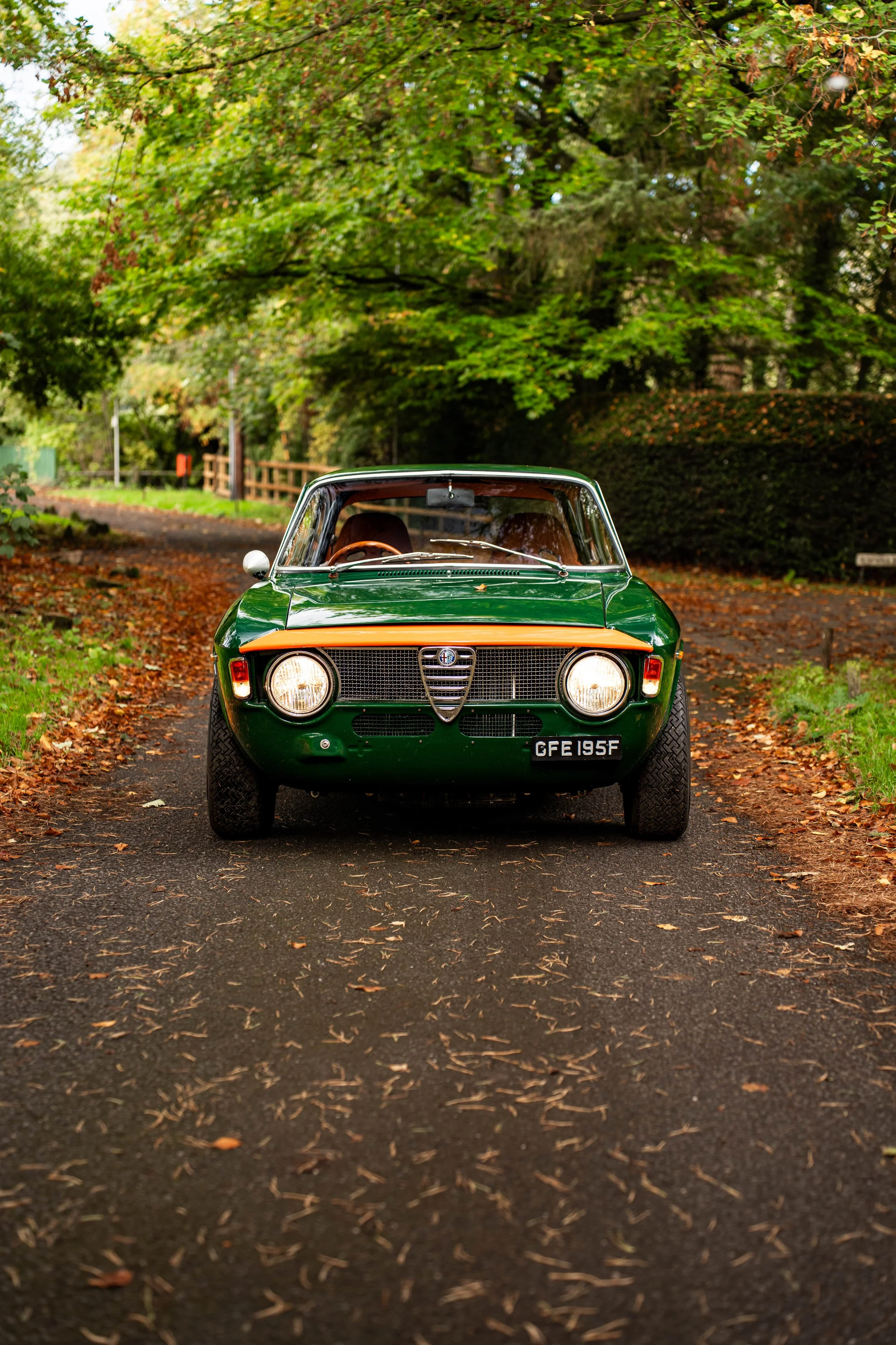 Alfa Romeo GT Junior Restomod