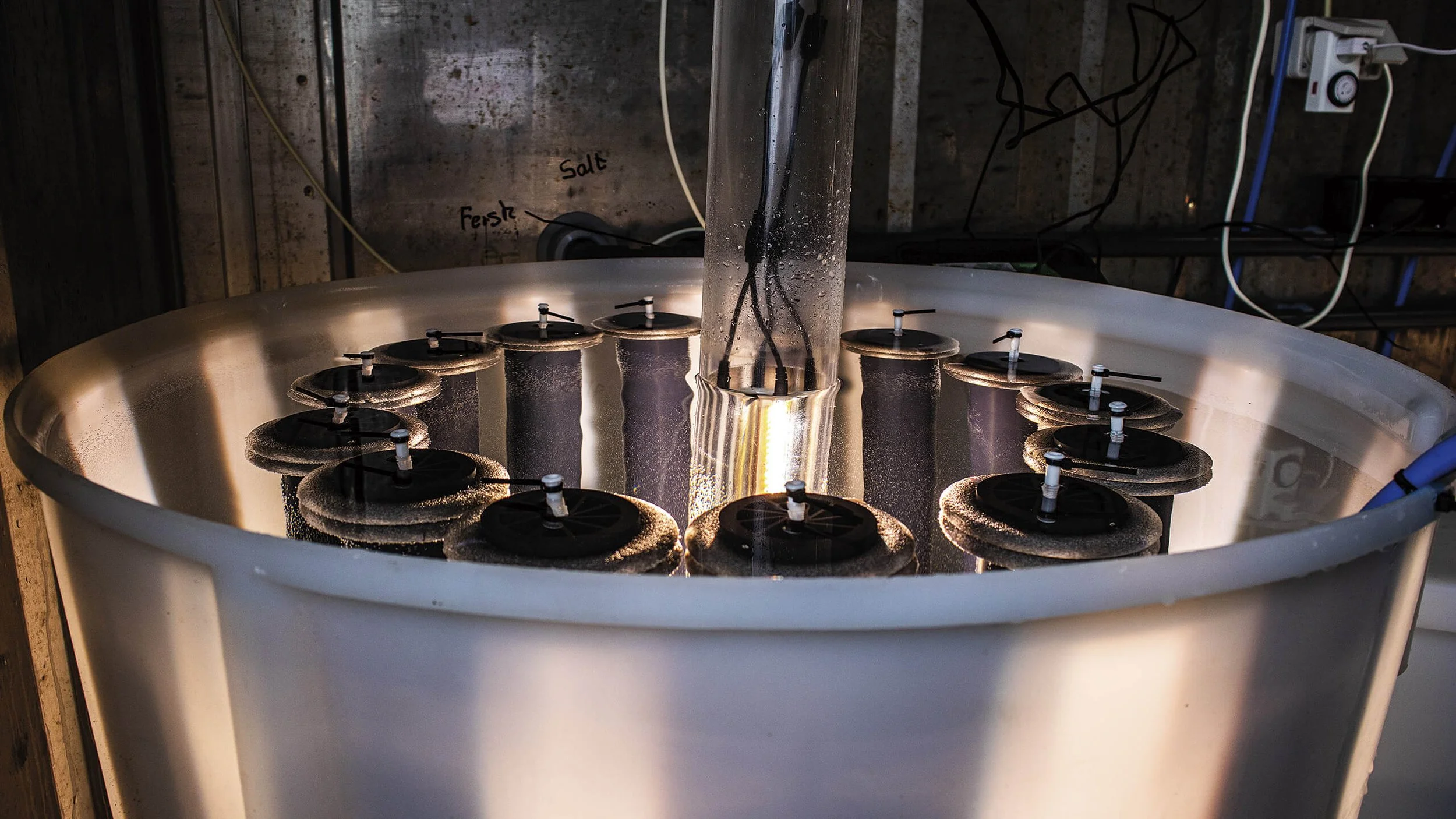 nursery unit for seaweed. large cylinder with water, containing tubes