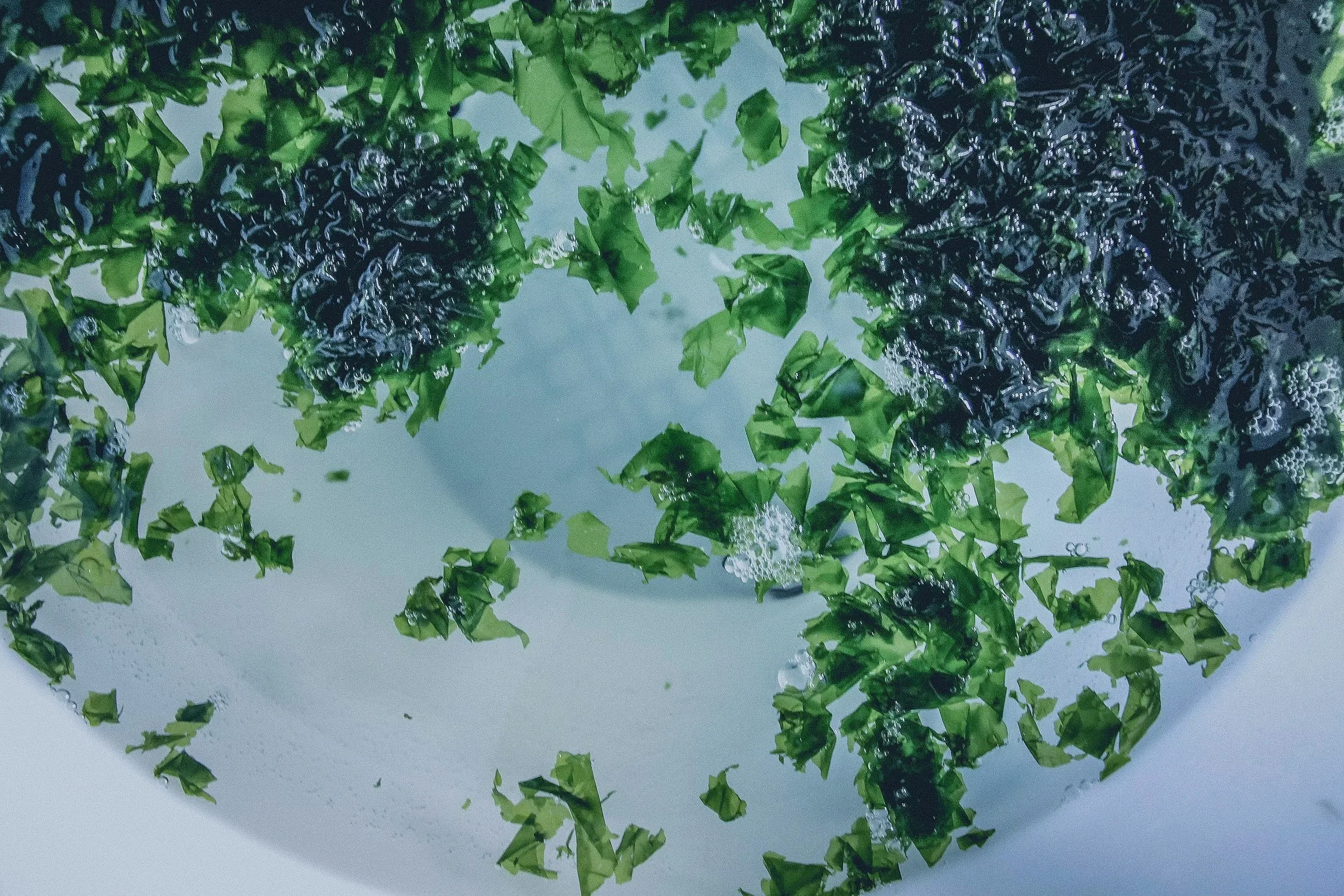 Vegetative Cultivation and Domestication