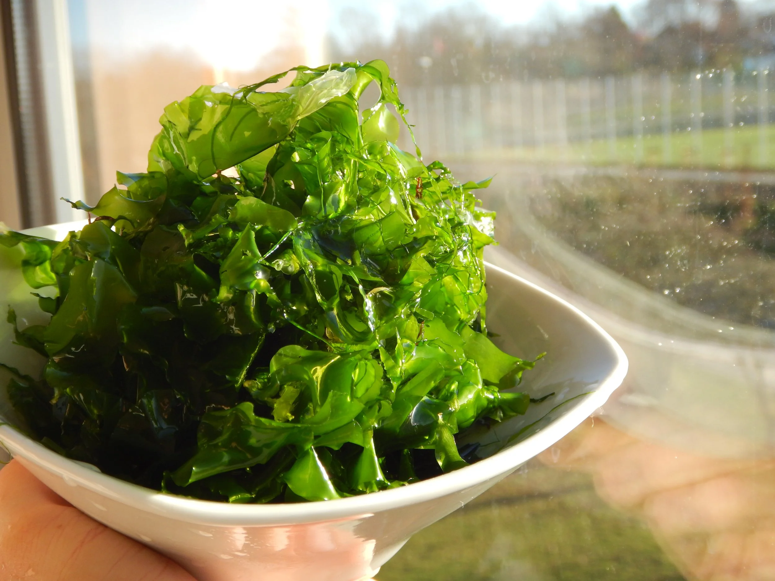 What if seaweed could deliver all its health benefits - without tasting like seaweed?