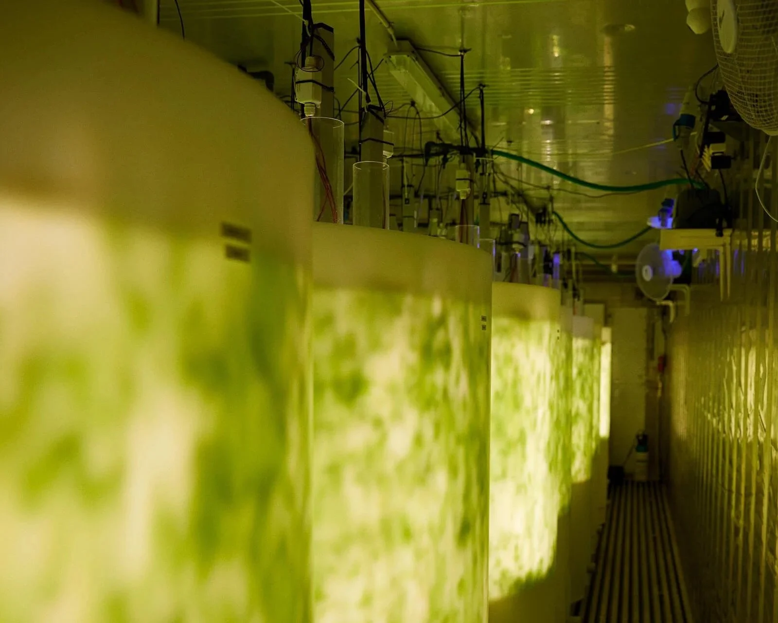 Like most innovations, it started out with a simple dilemma