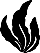 Icon of seaweed