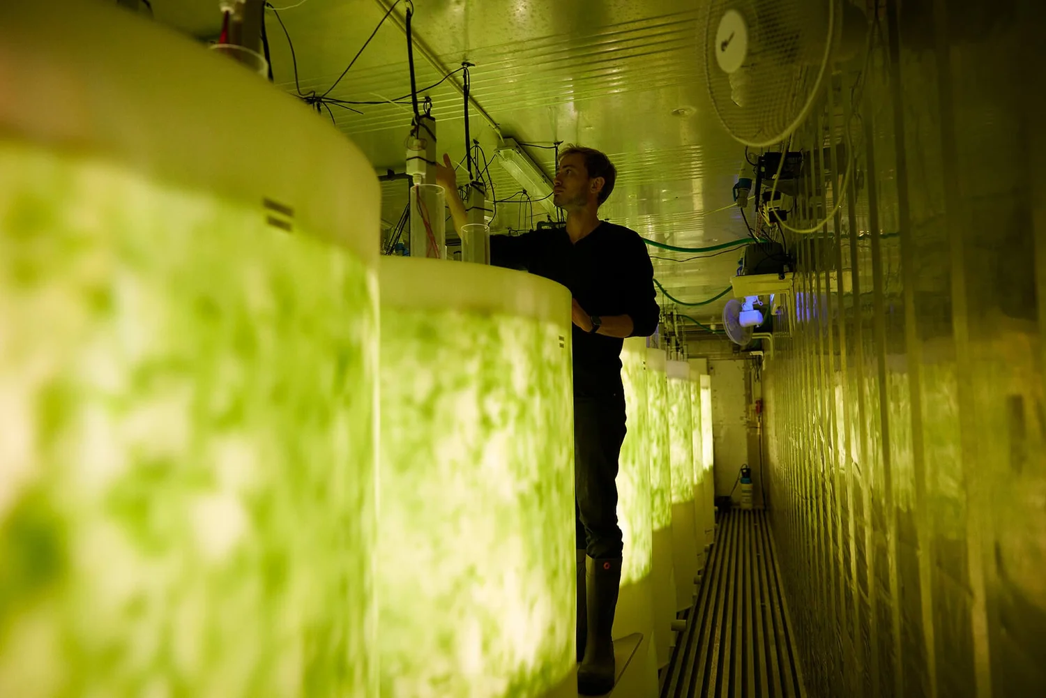 Valuefarm Containers | Containerized Seaweed | Pure Algae