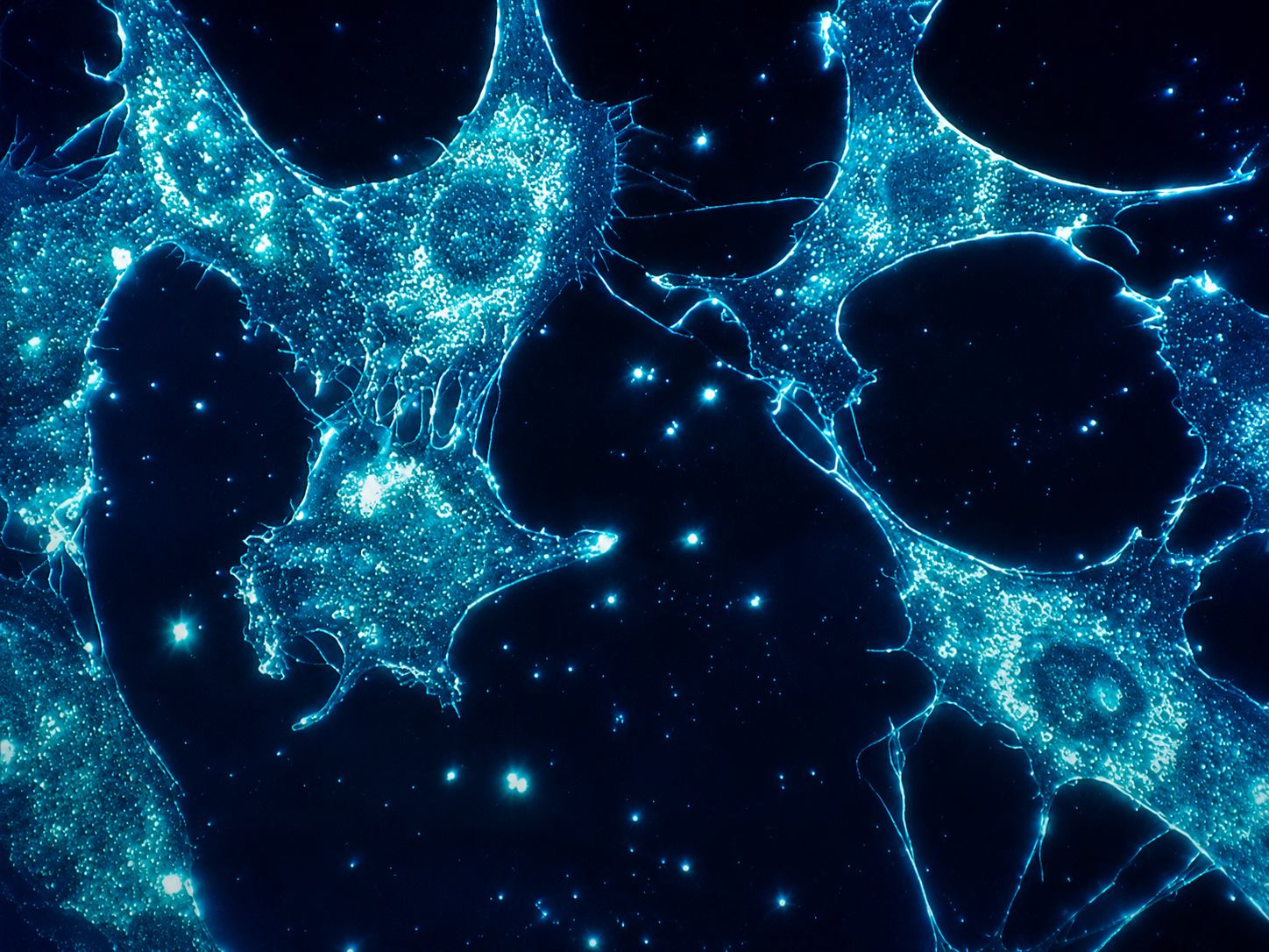 blue splotches on black background, as if looking through microscope