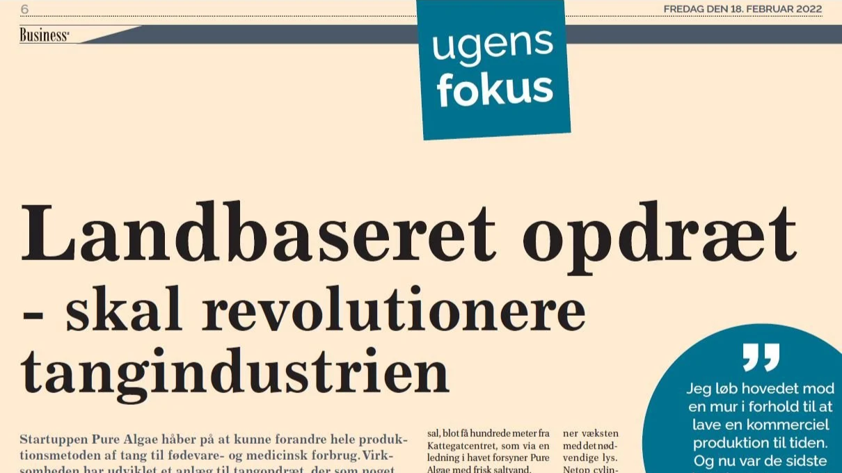 news article Buisness, ugens fokus, titled "Landbaseret opdræt - skal revolutionere tangindustrien"