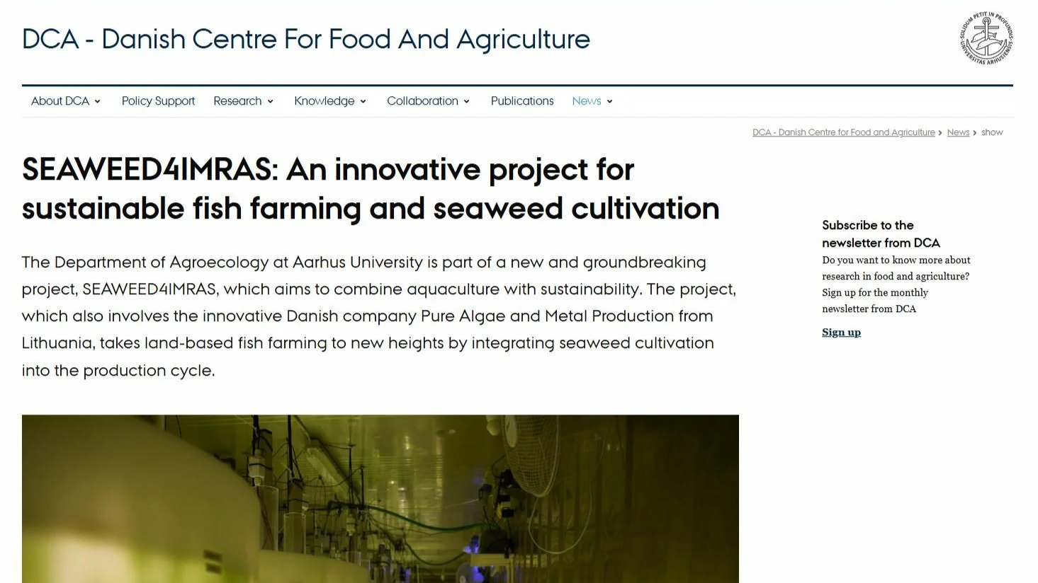 frontpage of article from DCA - Danish Centre for Food and Agriculture. The article is titled "SEAWEED4IMRAS: An innovative project for sustainable fish farming and seaweed cultivation"