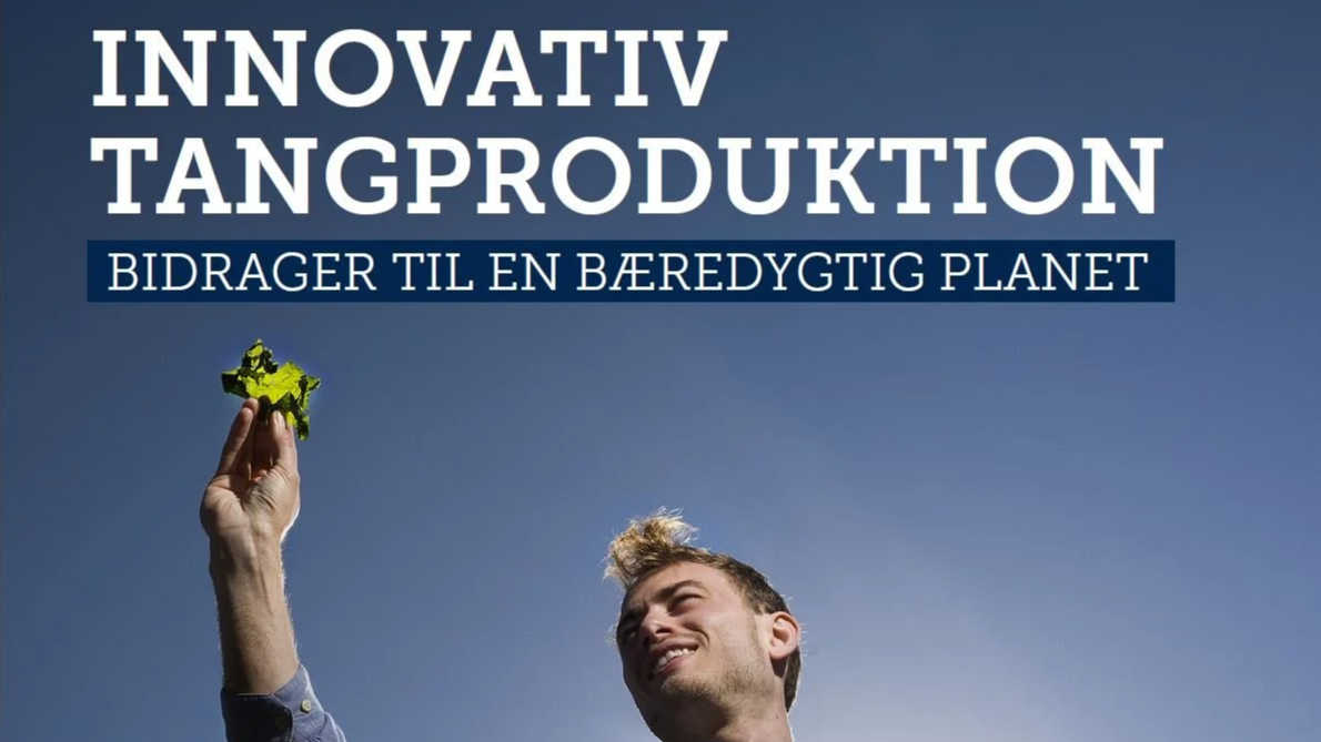 Innovativ tangproduktion - bidrager til en bæredygtig planet