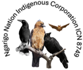 Ngarigo Nation Indigenous Corporation Inc