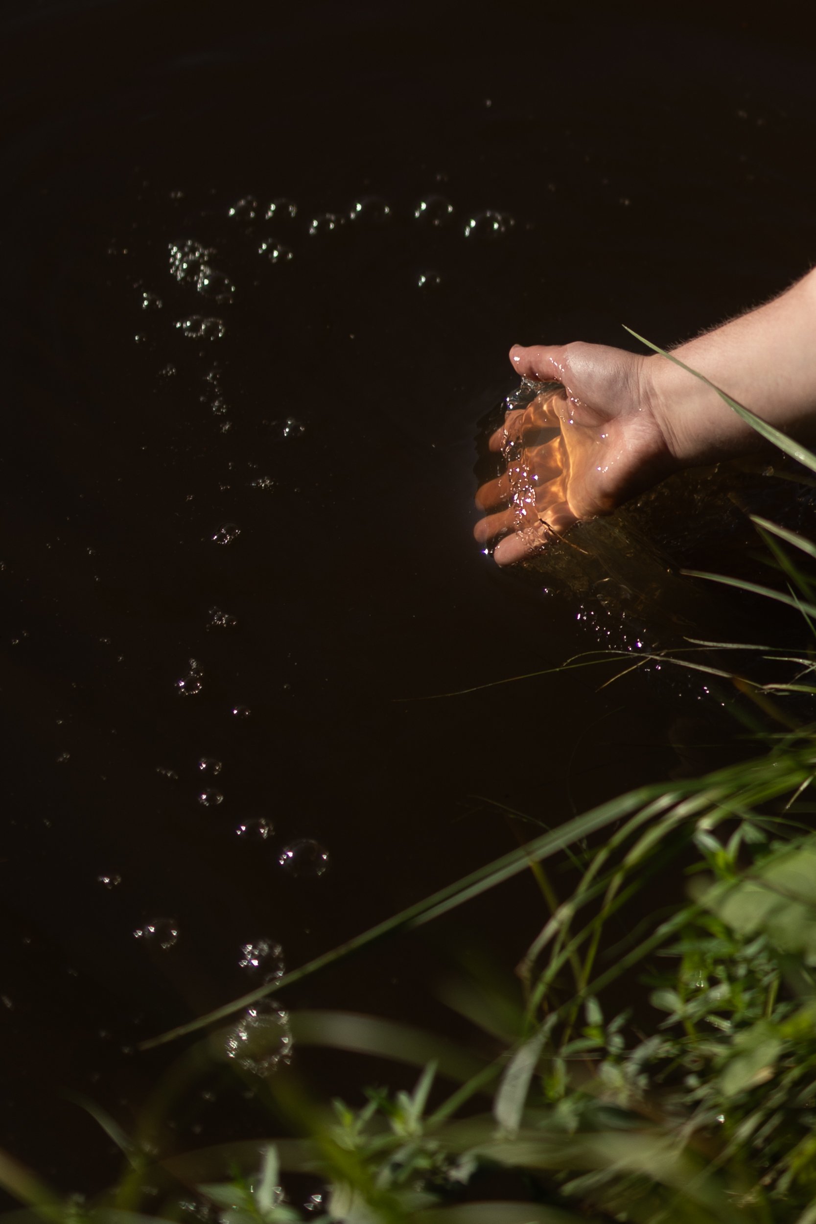 A hand in the water near the shore with dark water and green grass in the foreground.
