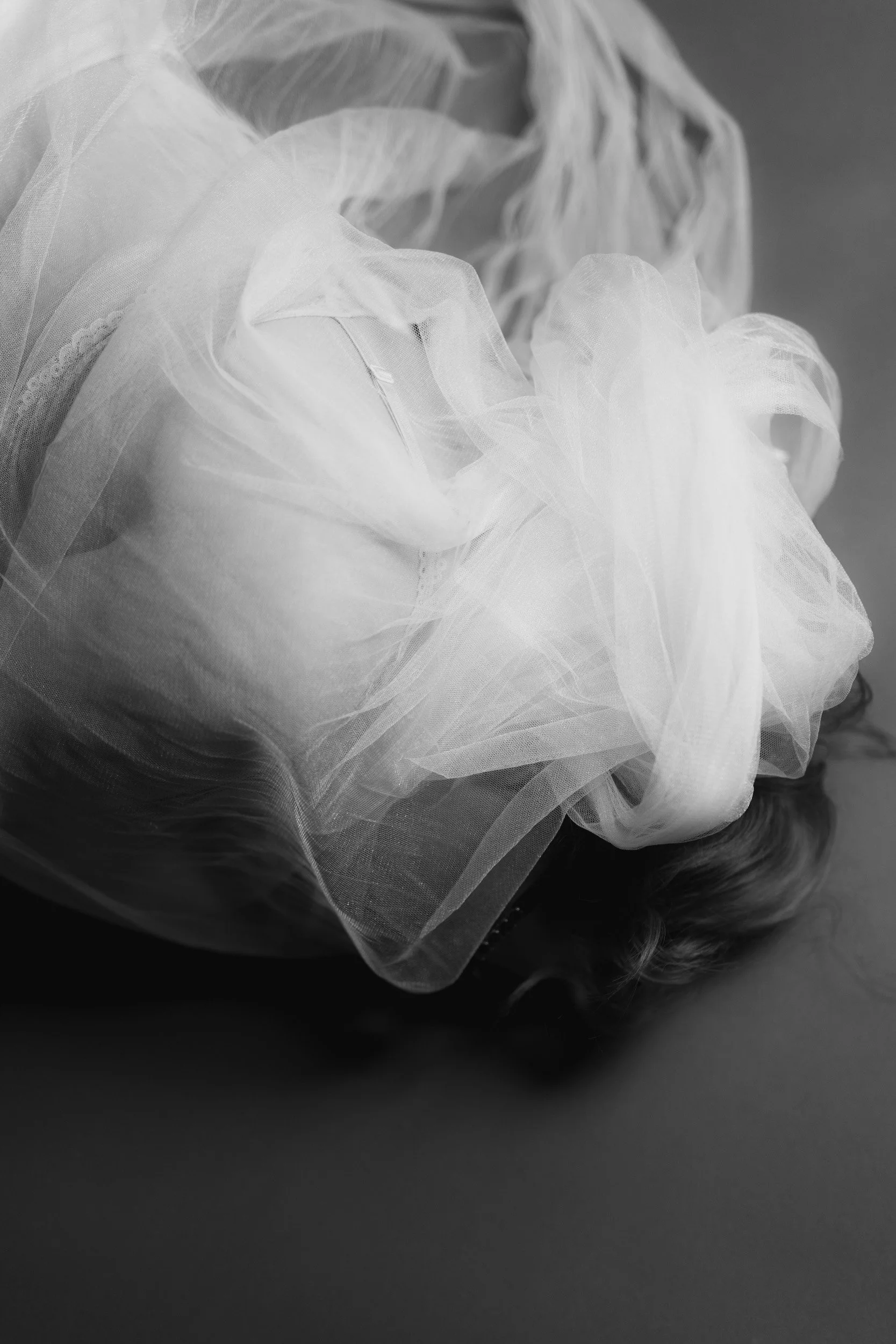 full1-bw-2274.jpg