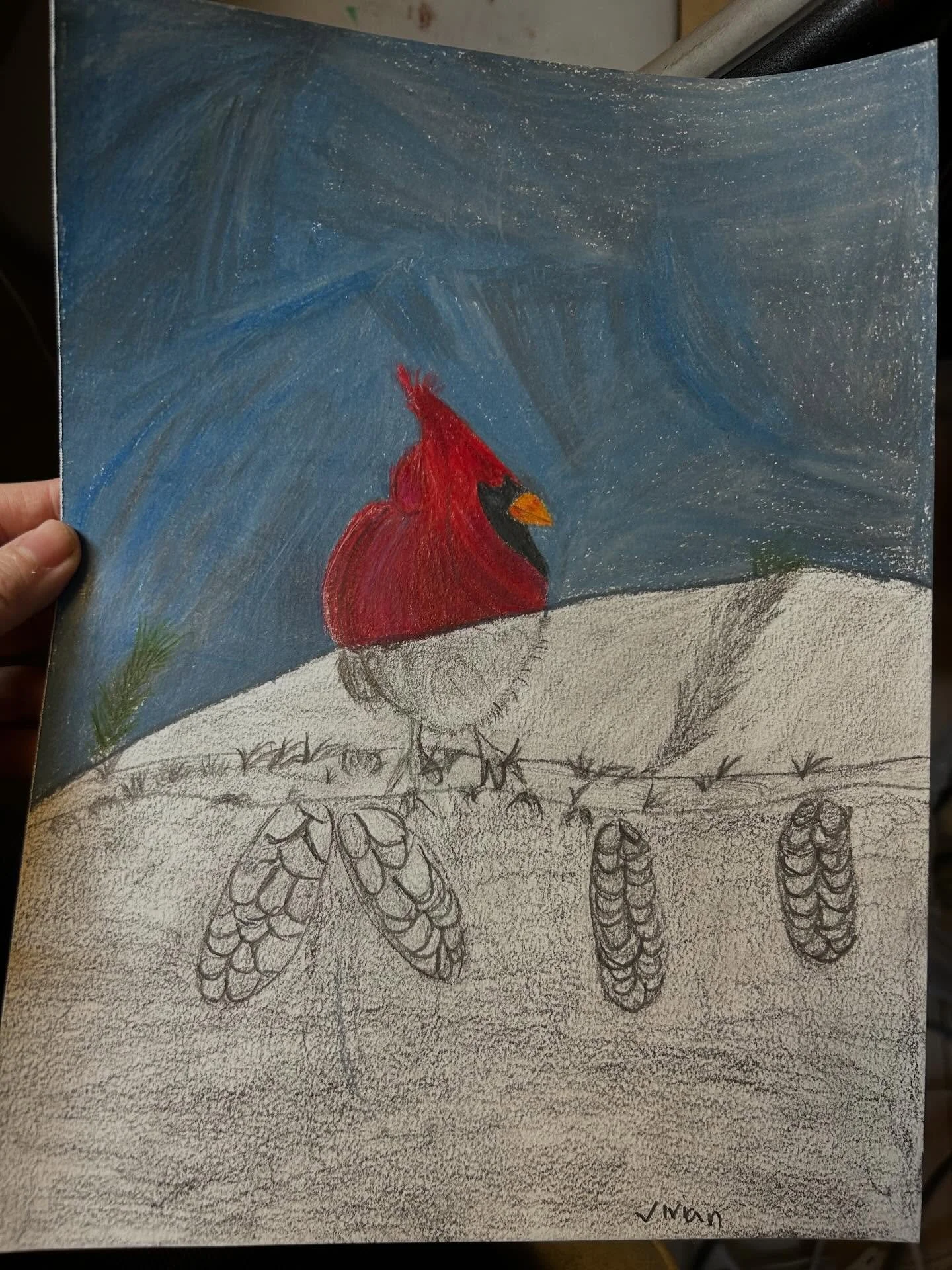 This winter is too long. Hope everyone is staying warm and healthy out there #anyasartroom #pencildrawing