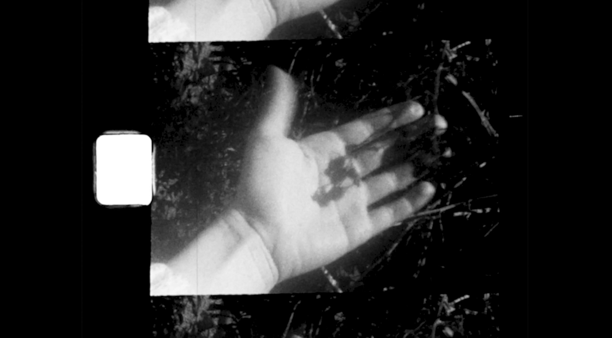 NinaMaria_about wintering_003.jpg