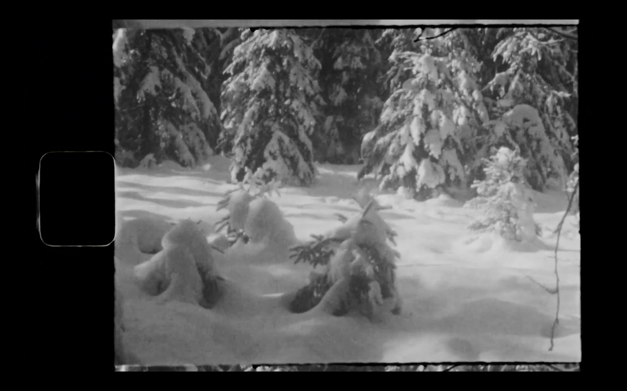 NinaMaria_aboutwintering_0011.jpg