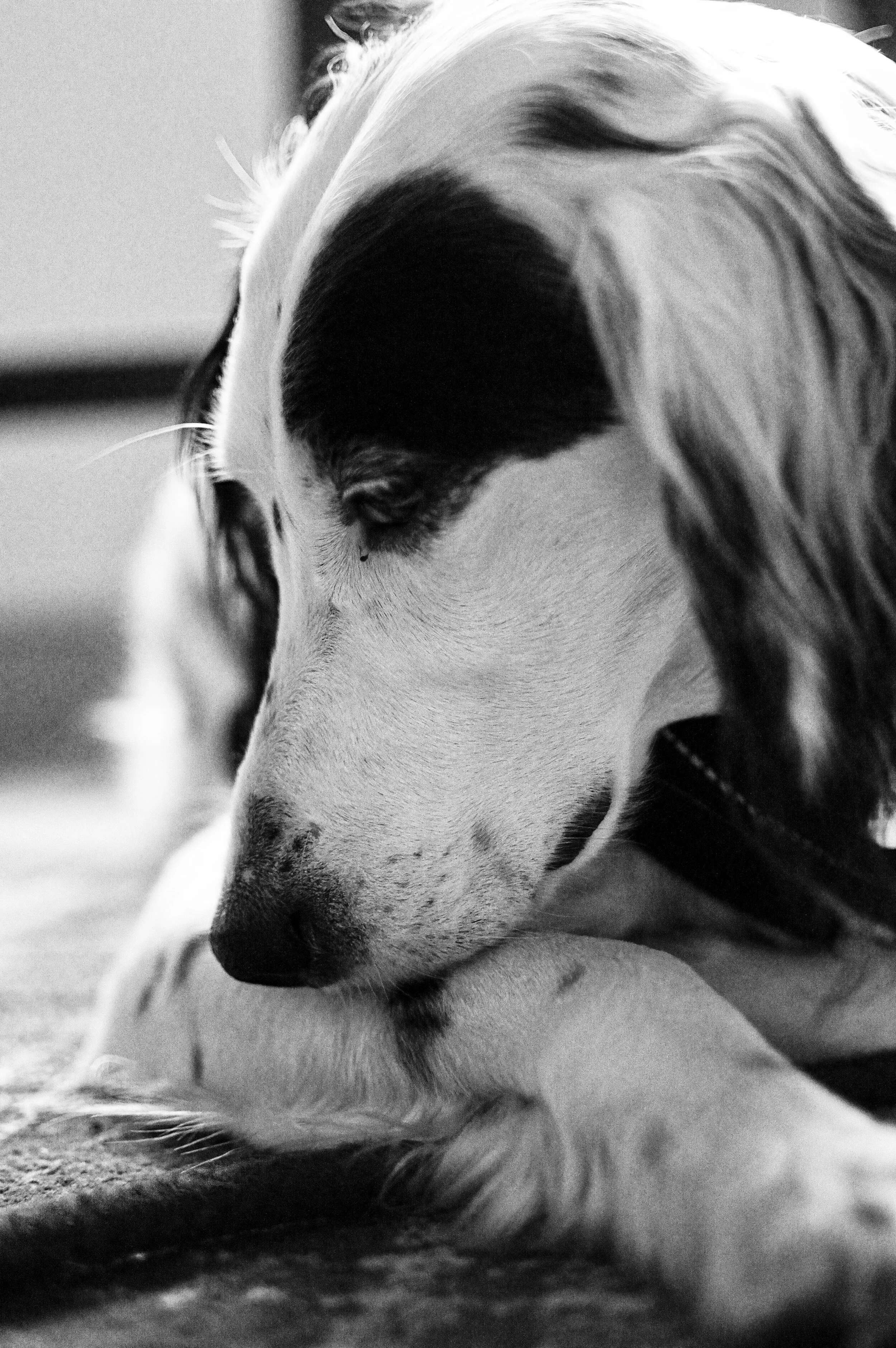 DSC_0003 (4)-HDR.jpg